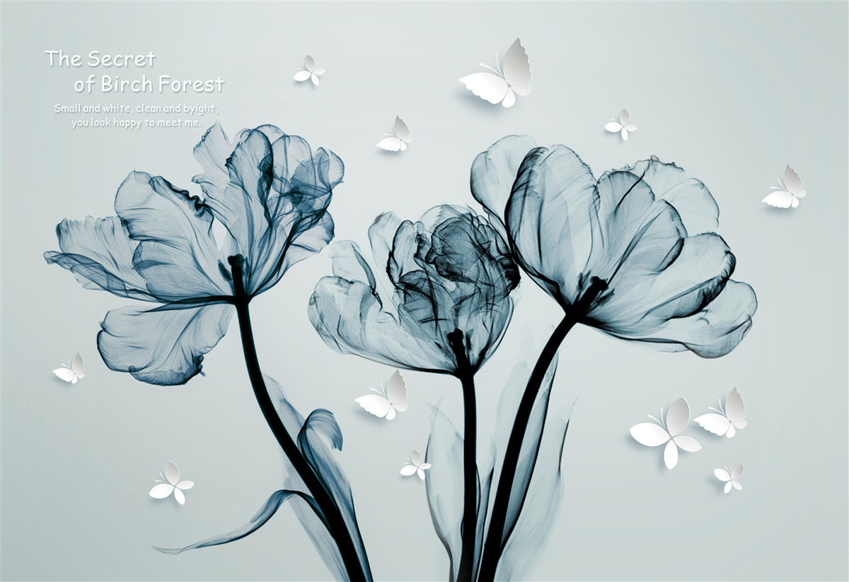 Papier peint coquelicots délicats et papillons légers