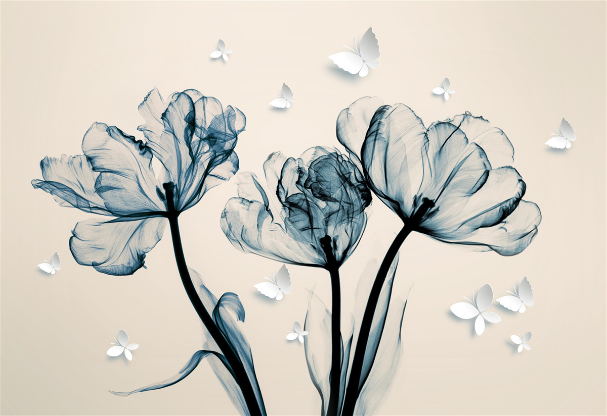 Papier peint des papillons de nuit légers survolent les plantes