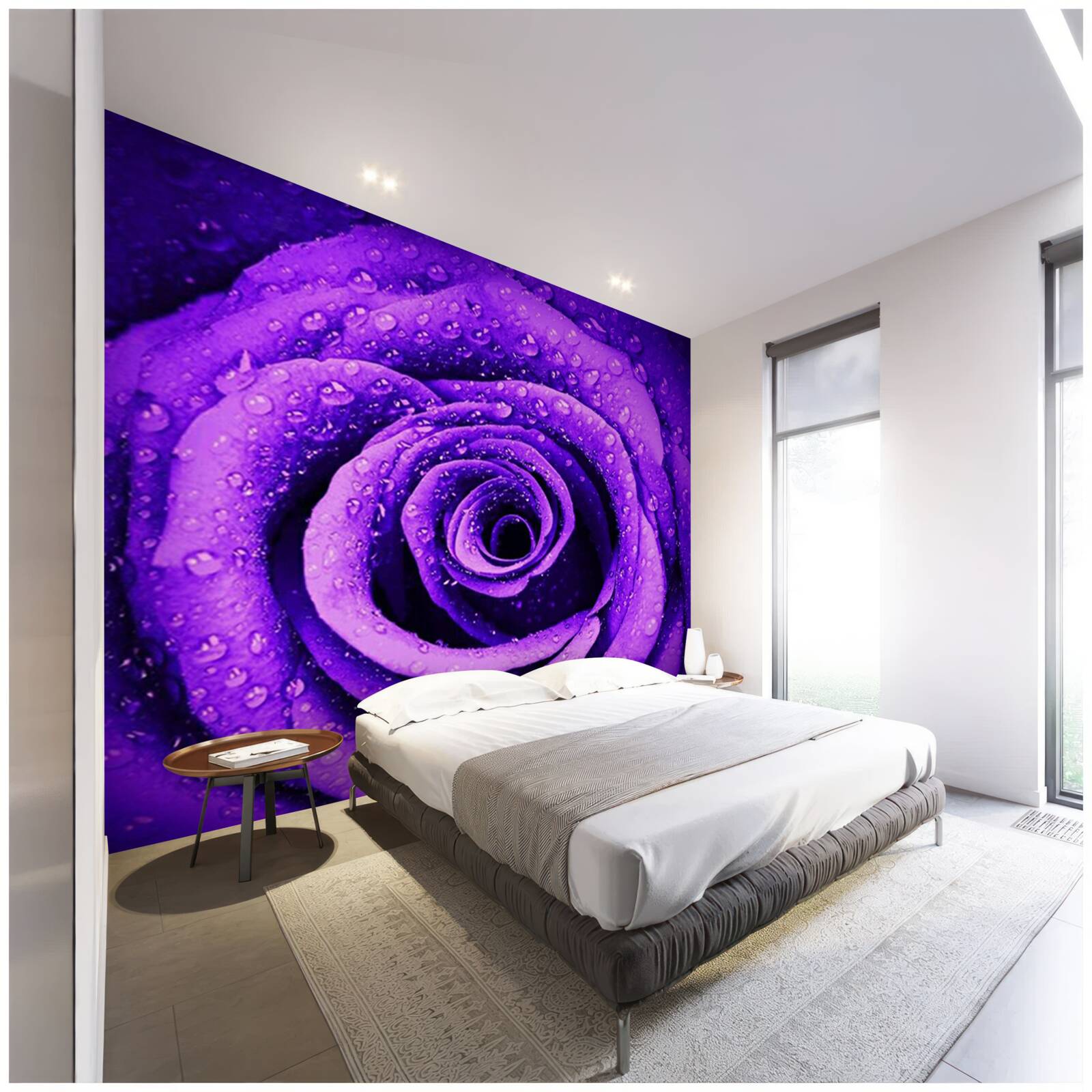 Papier peint vue rapprochée d'une rose pourpre couverte de gouttes de pluie