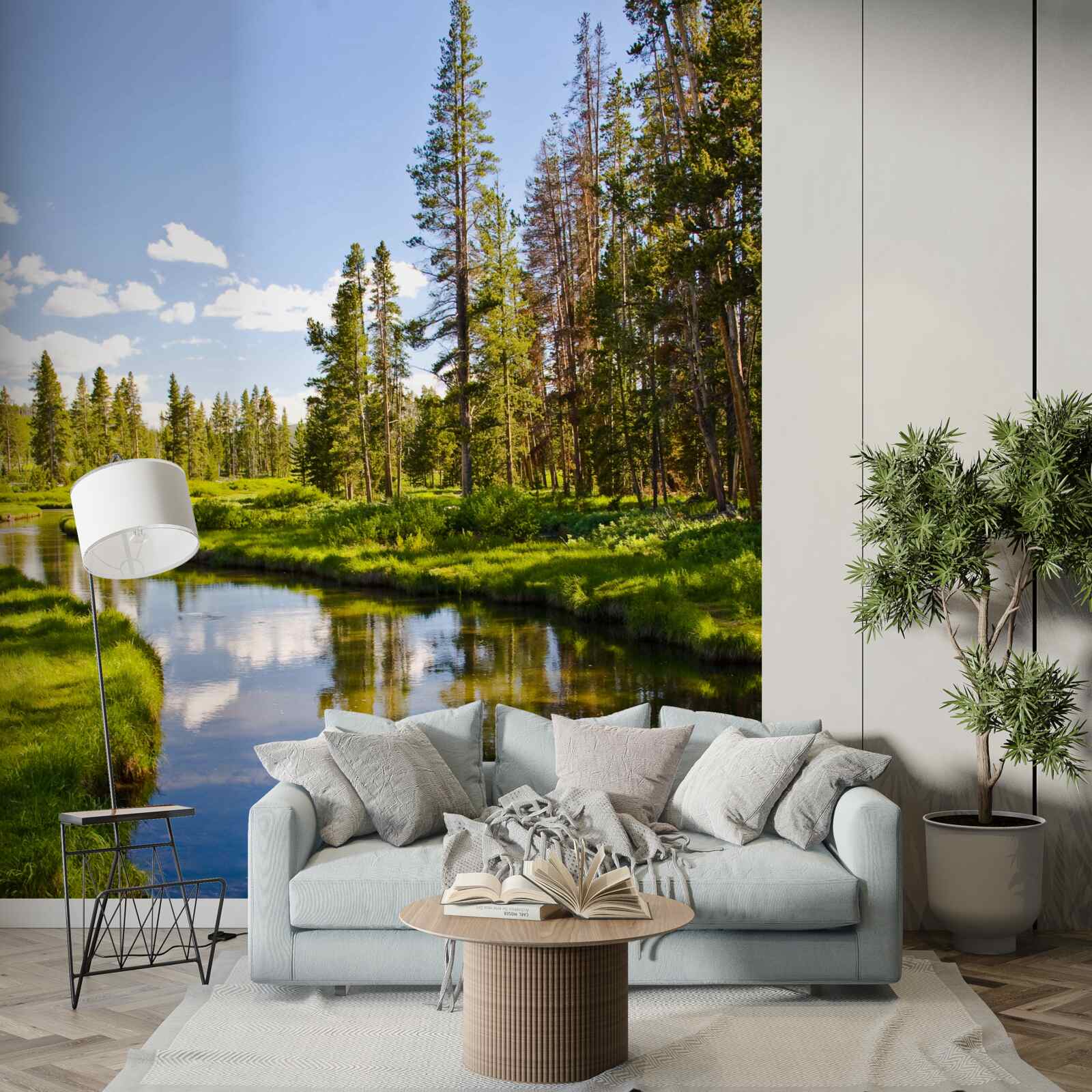 Papier peint ruisseau de forêt parmi les conifères en été