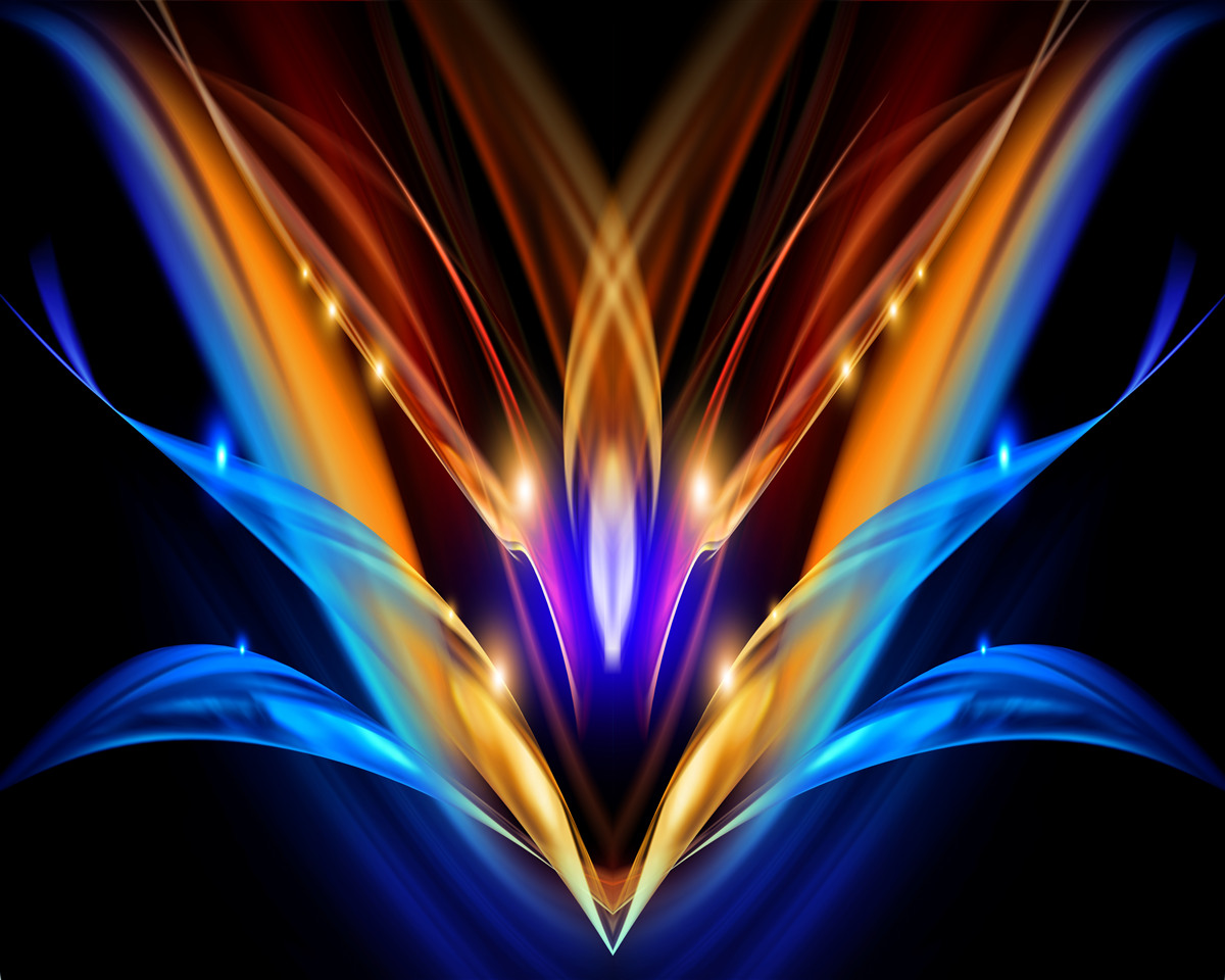 Papier peint lotus dans l'obscurité dans un style abstrait