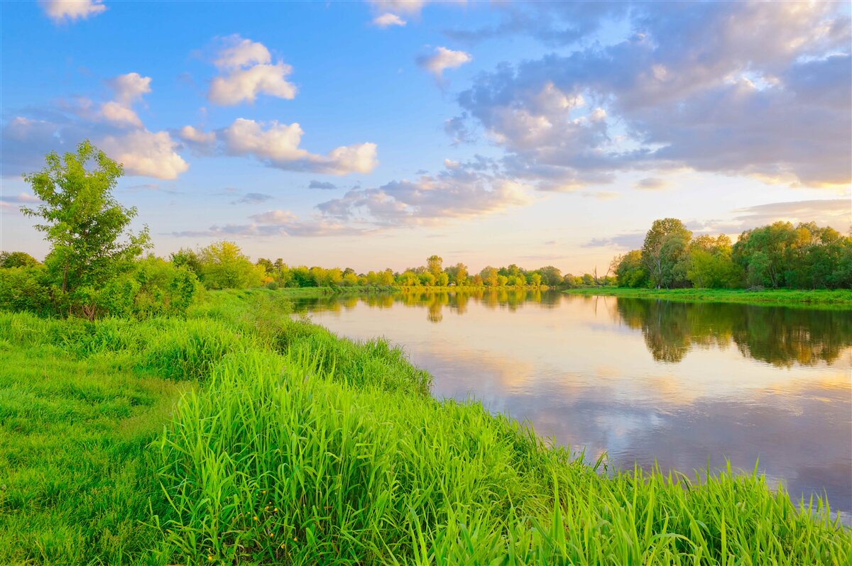 Papier peint rivière calme à côté d'une prairie verdoyante