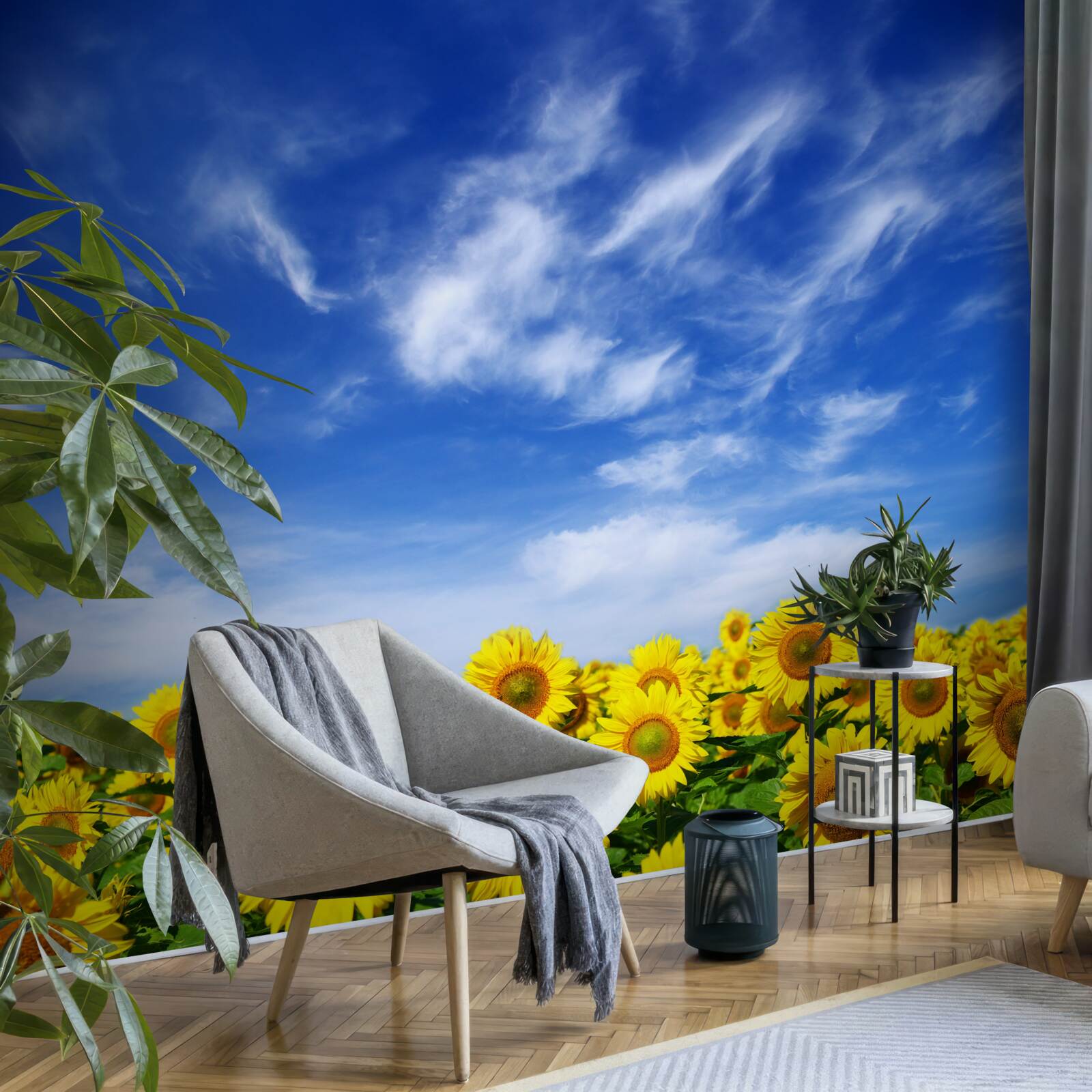 Papier peint les tournesols se détachent nettement sur le ciel bleu