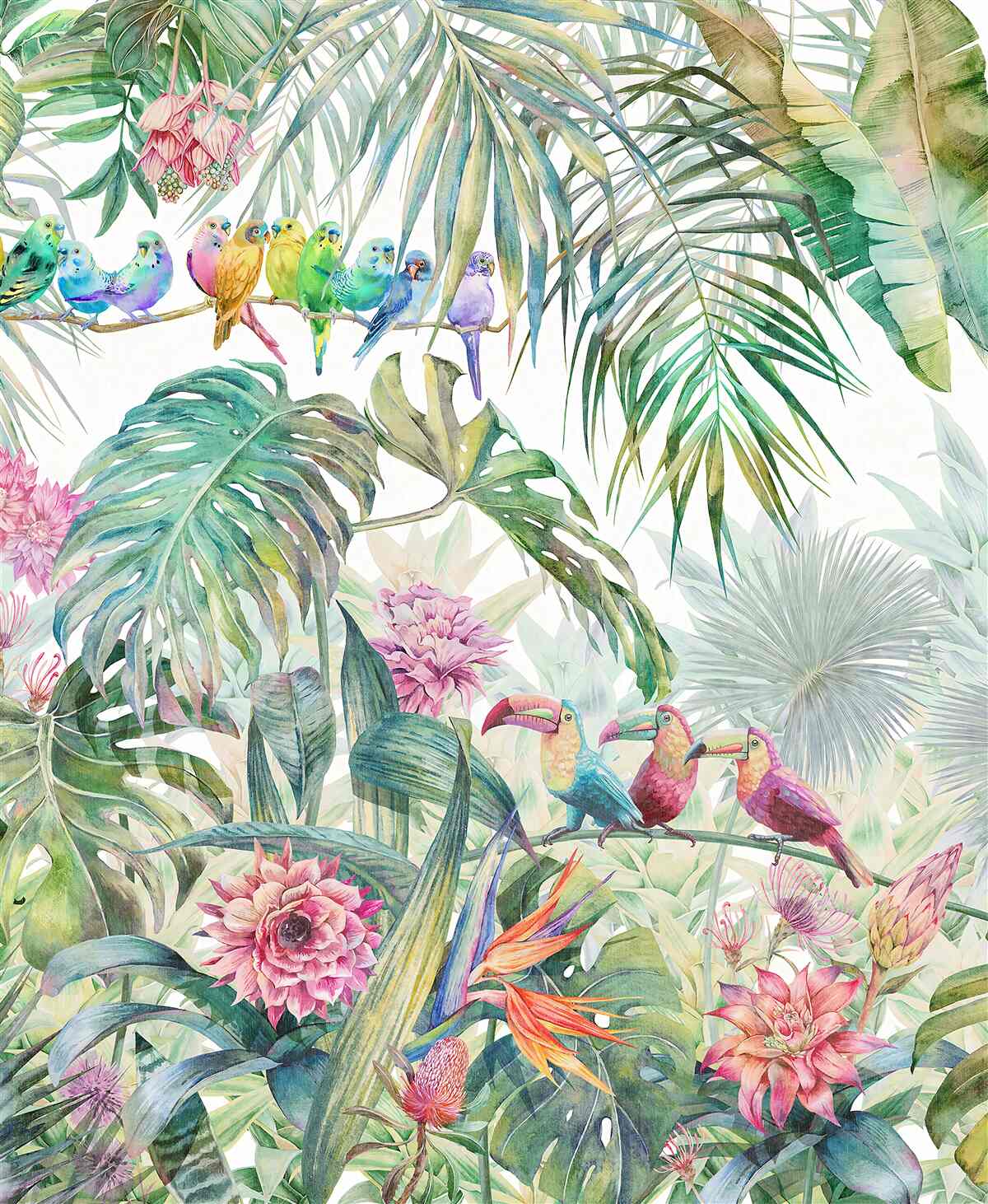 Papier peint plantes exotiques et oiseaux colorés