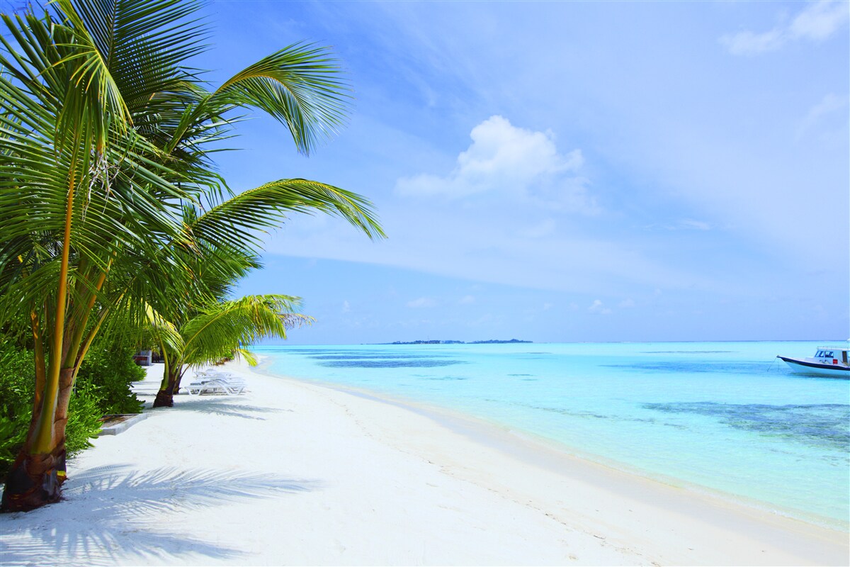 Papier peint les eaux turquoises des côtes tropicales