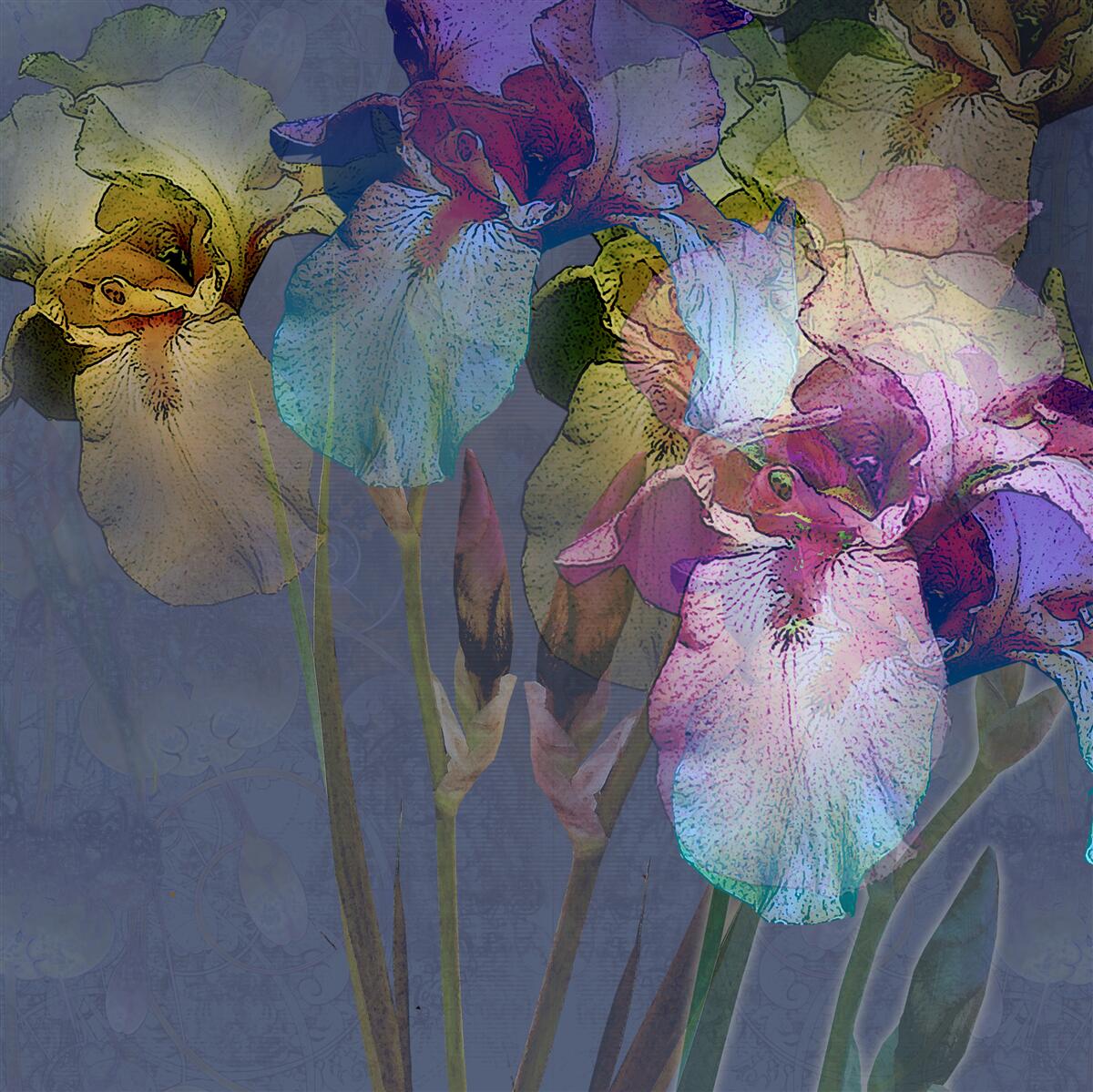 Papier peint atmosphère nocturne au milieu d'un feuillage tropical