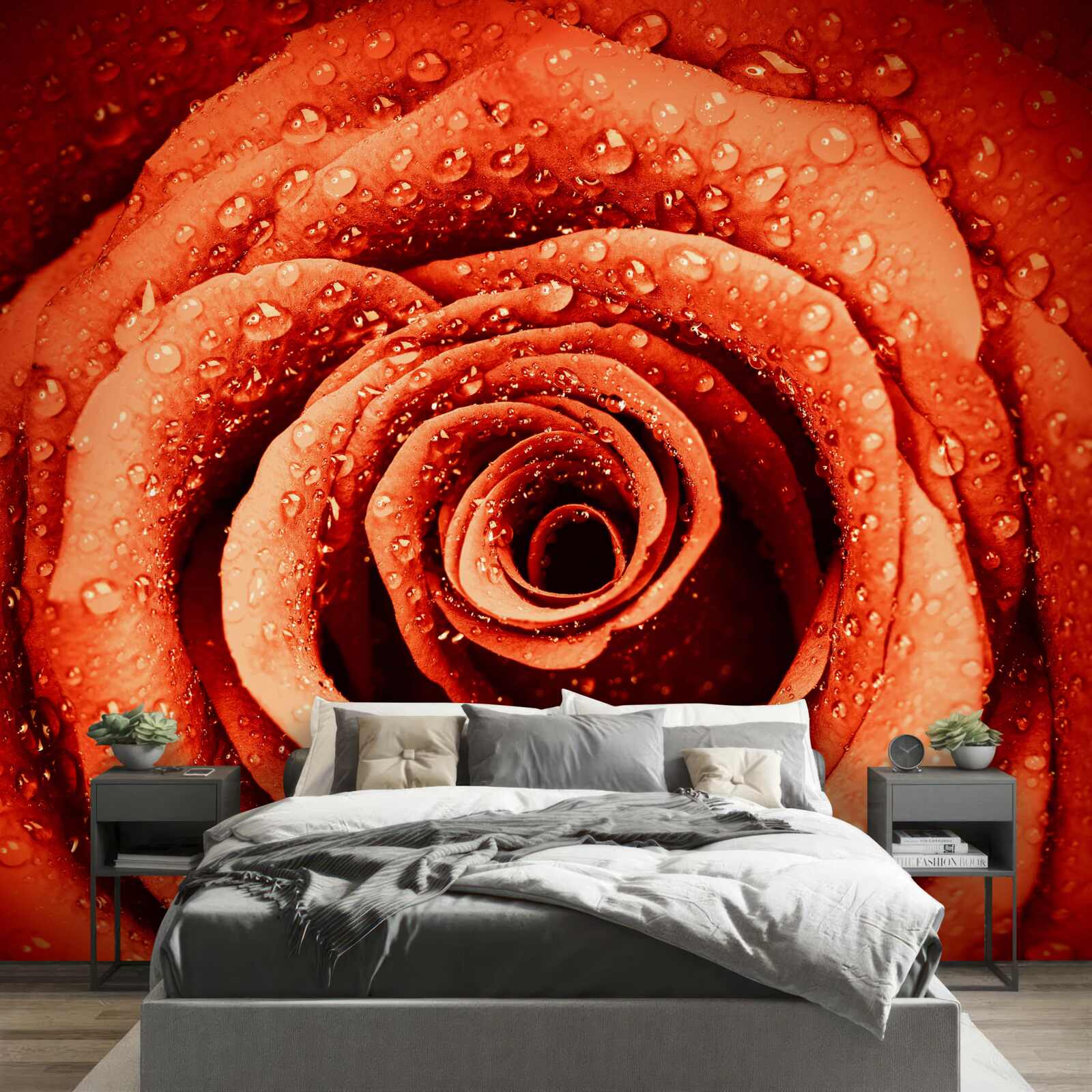 Papier peint gouttes de rosée sur un pétale de rose écarlate