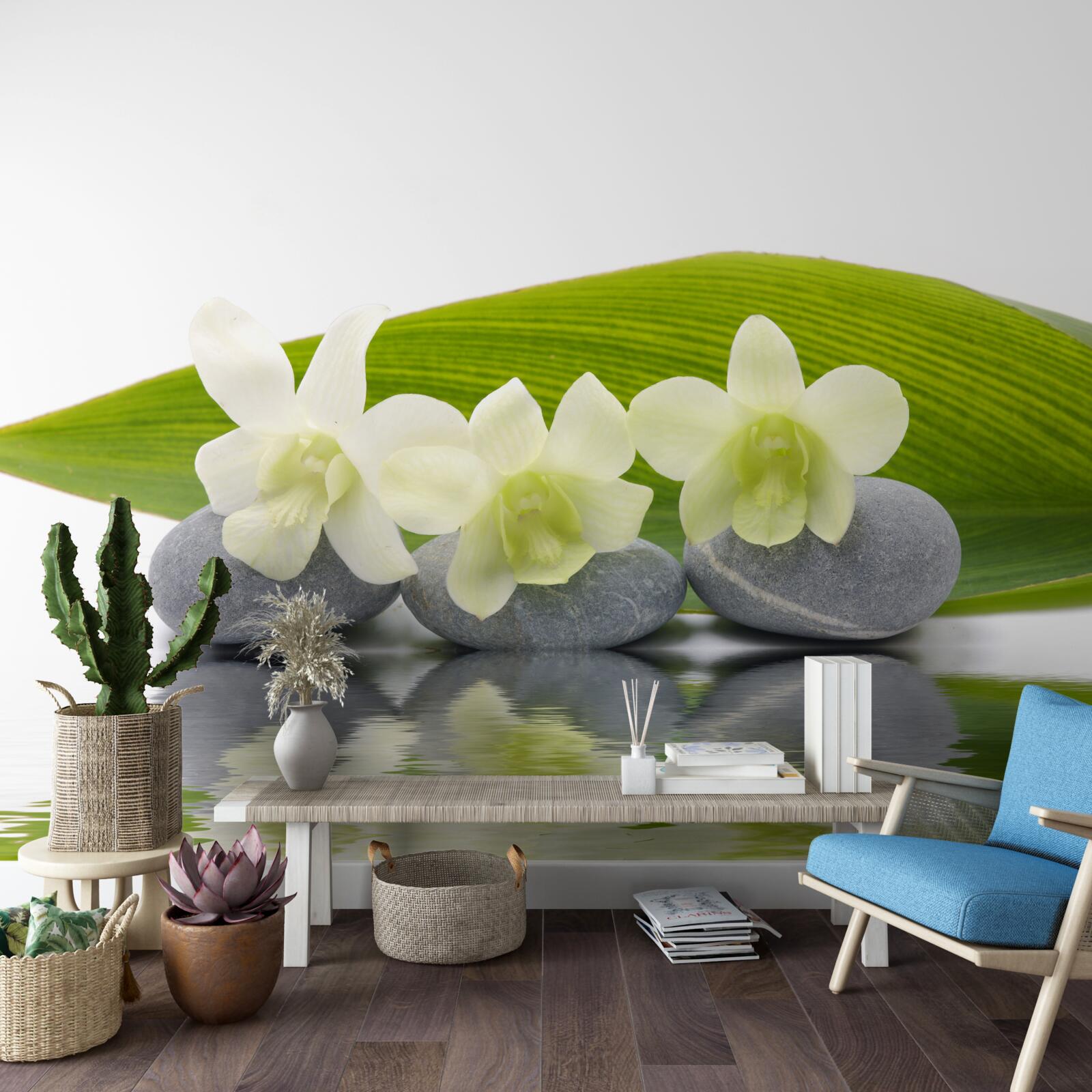 Papier peint ligne à la surface de l'eau