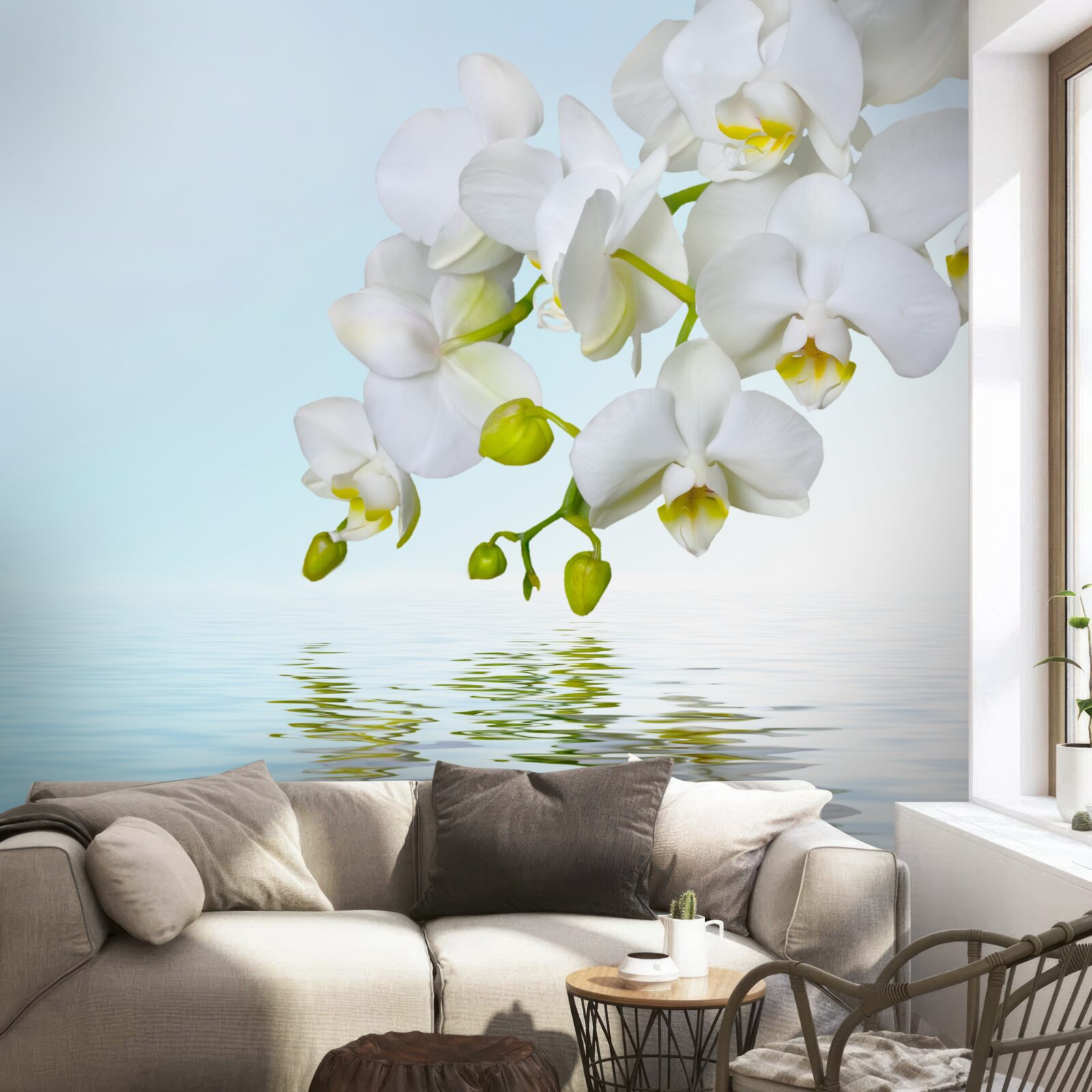 Papier peint branche d'orchidée blanche près d'une eau calme