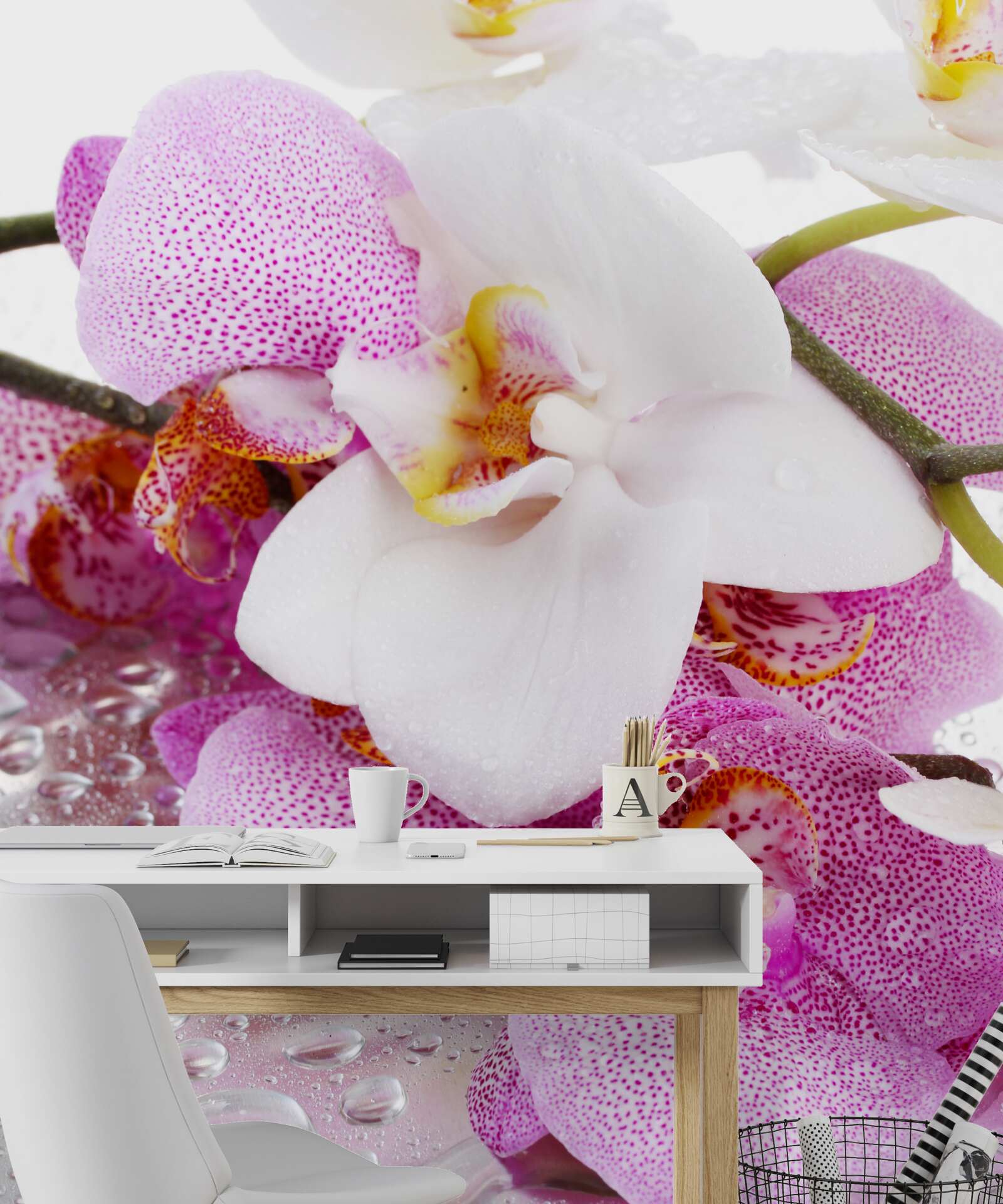 Papier peint orchidées à pétales blancs et roses