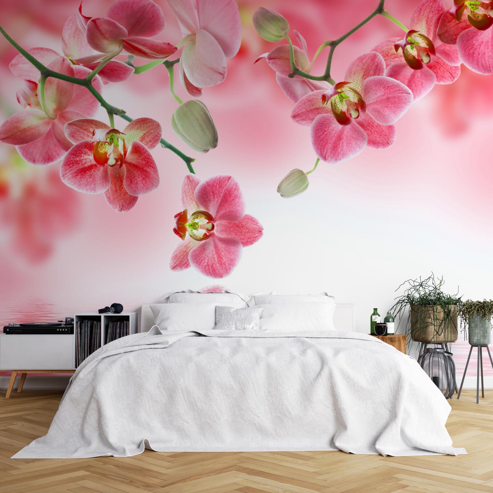 Papier peint une orchidée rouge est suspendue à un arbre au-dessus de l'eau