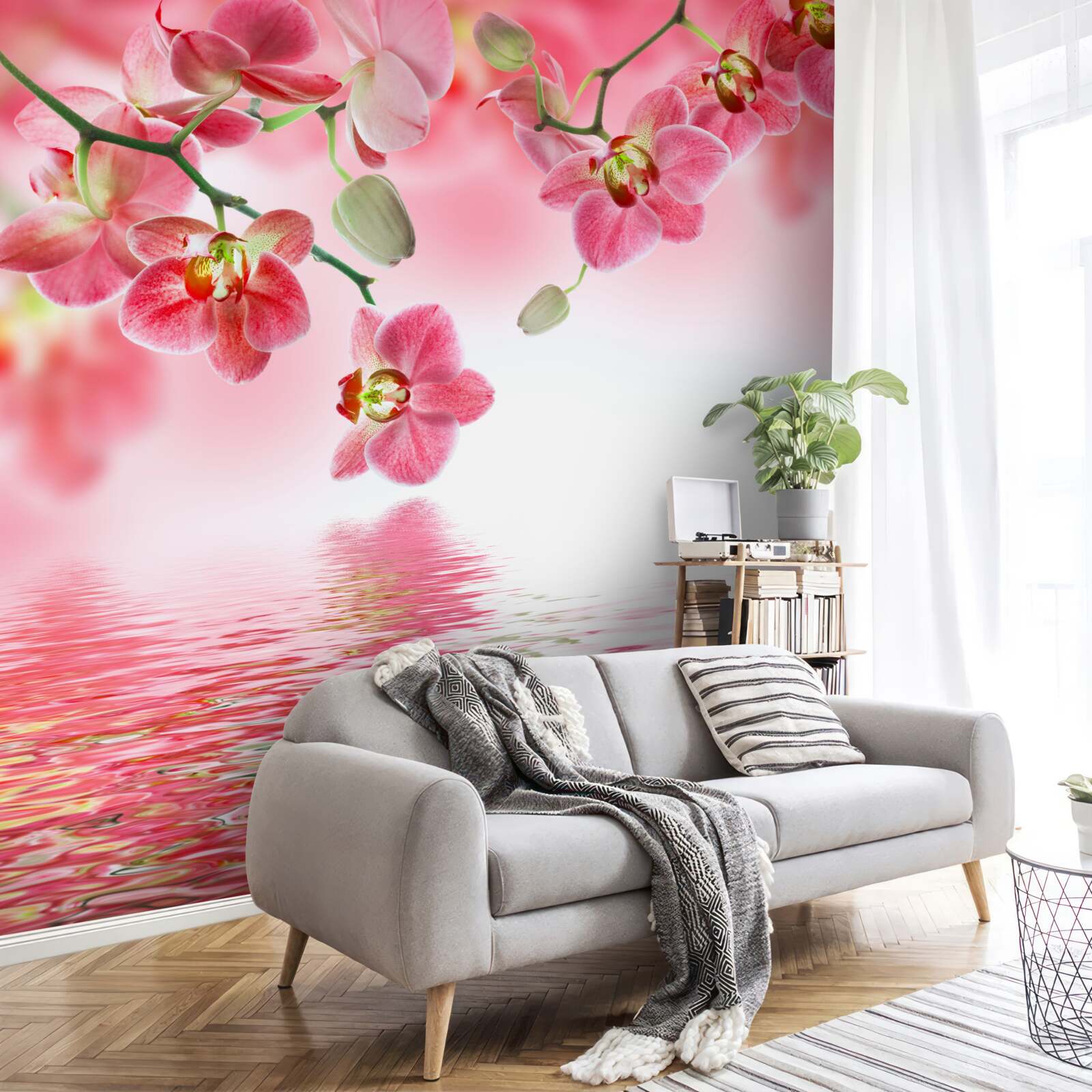 Papier peint une orchidée rouge est suspendue à un arbre au-dessus de l'eau