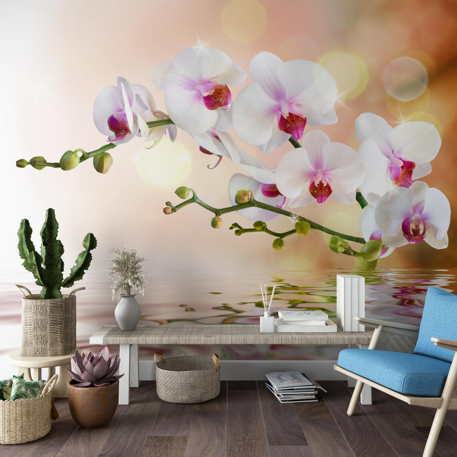 Papier peint branche d'orchidée blanche se reflétant dans l'eau
