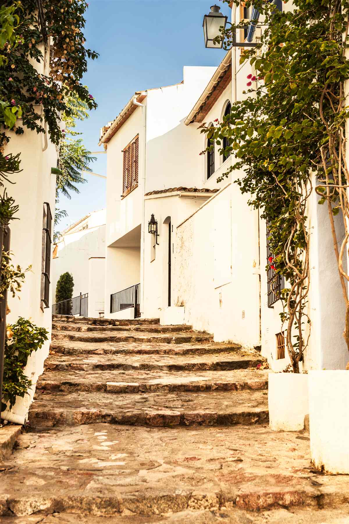 Papier peint verdure dans une rue ancienne en grèce