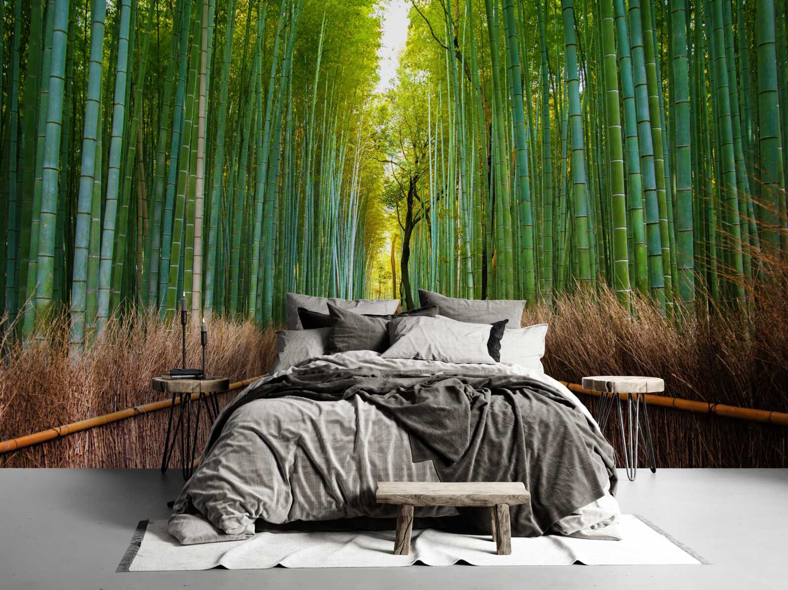 Papier peint une gracieuse bambouseraie avec un sentier