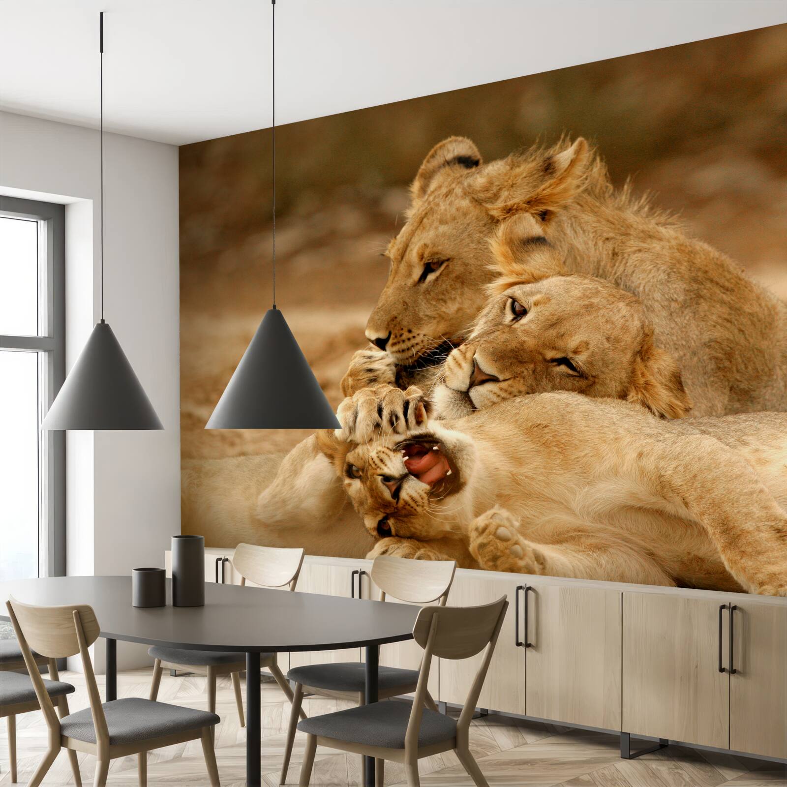 Papier peint une famille de lions s'est installée sur une surface sablonneuse