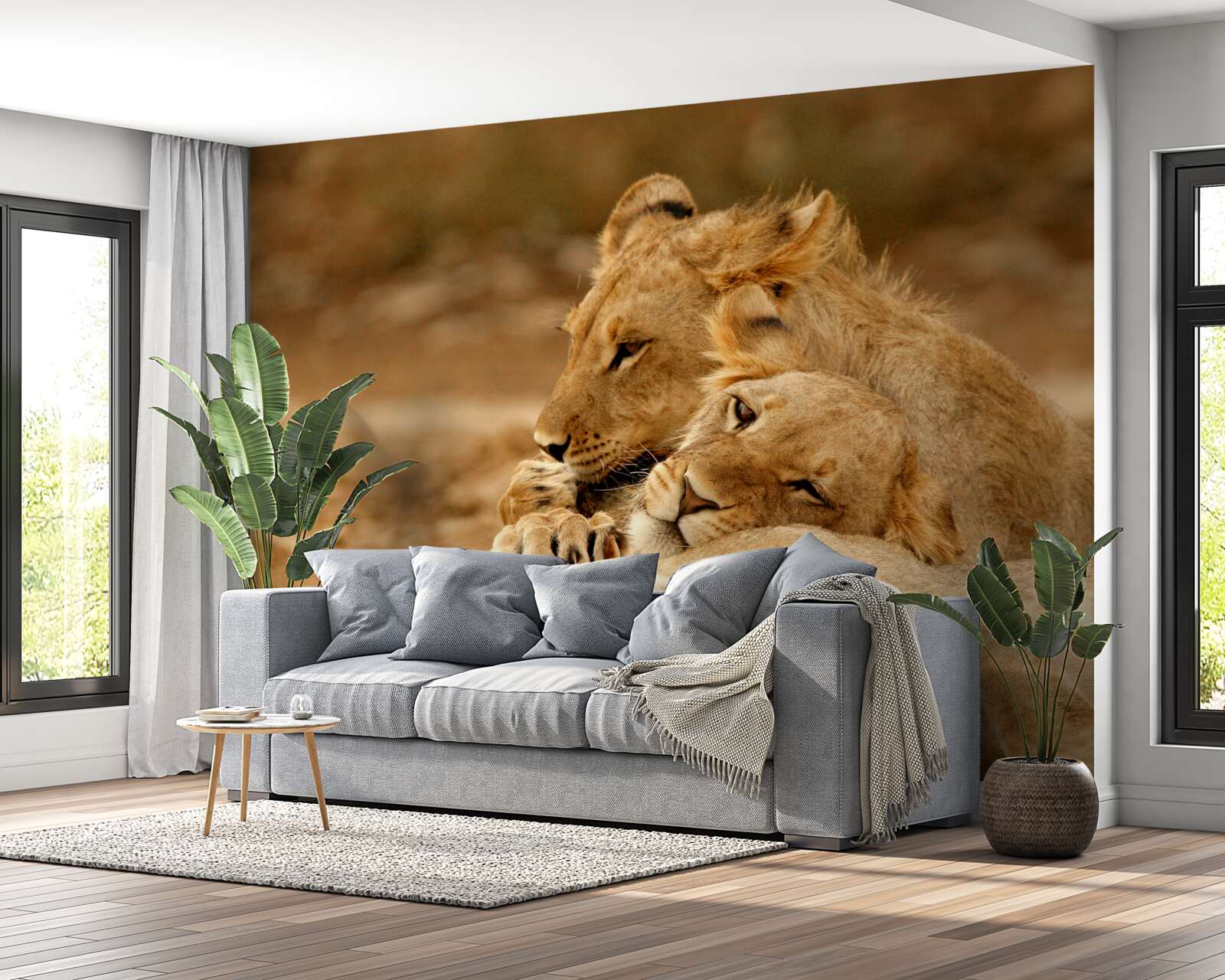 Papier peint une famille de lions s'est installée sur une surface sablonneuse