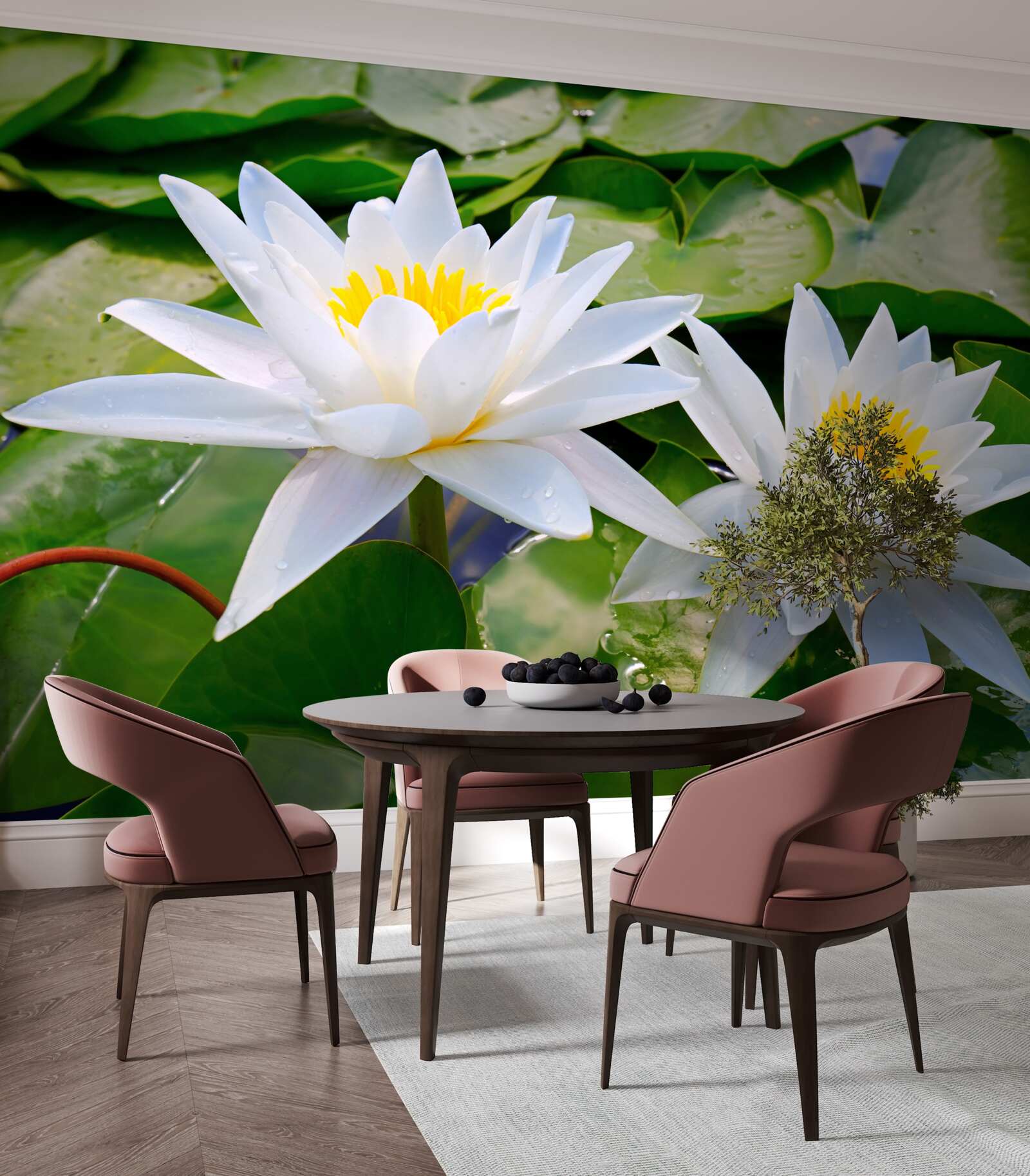 Papier peint nénuphars blancs parmi les feuilles vertes