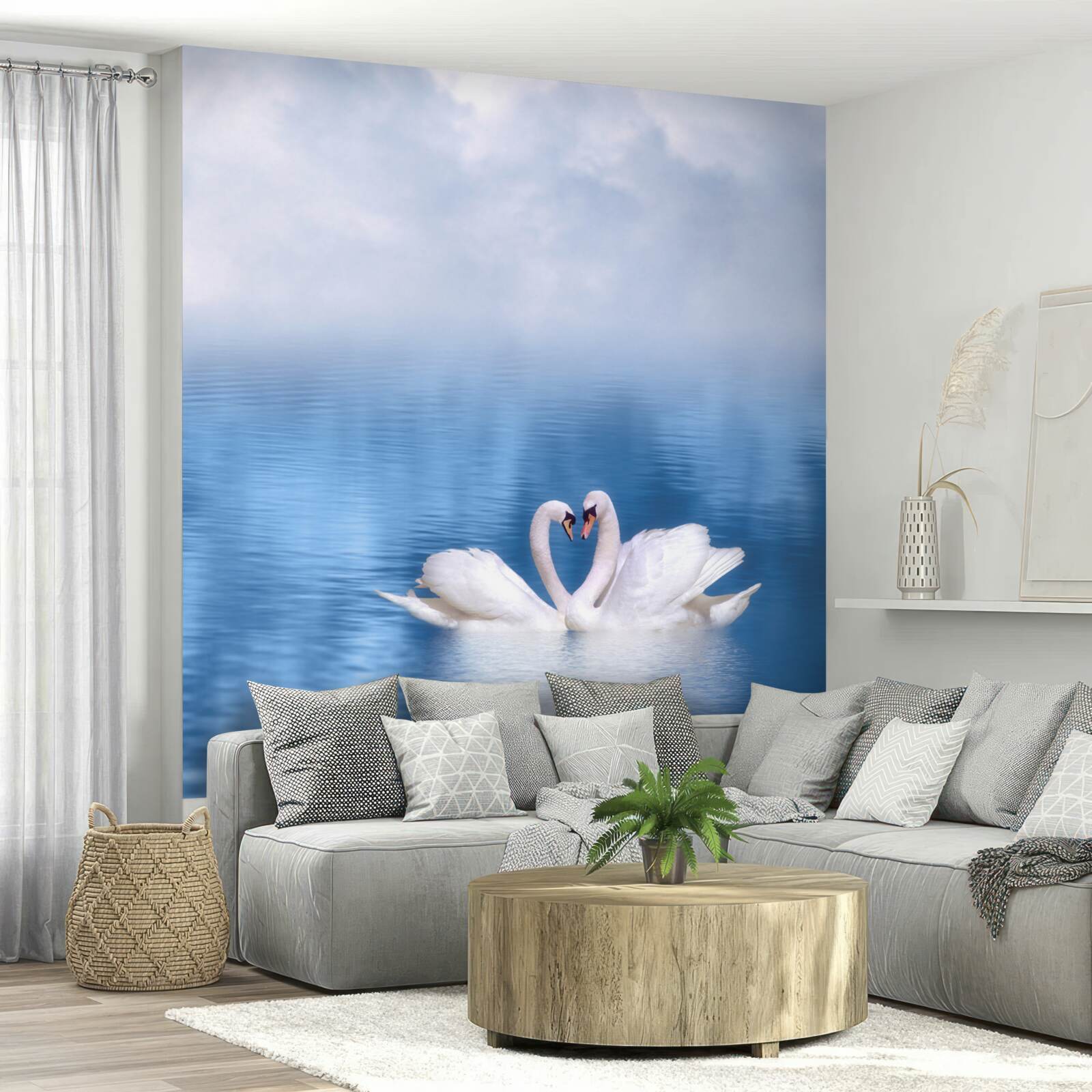 Papier peint deux cygnes sur une surface calme