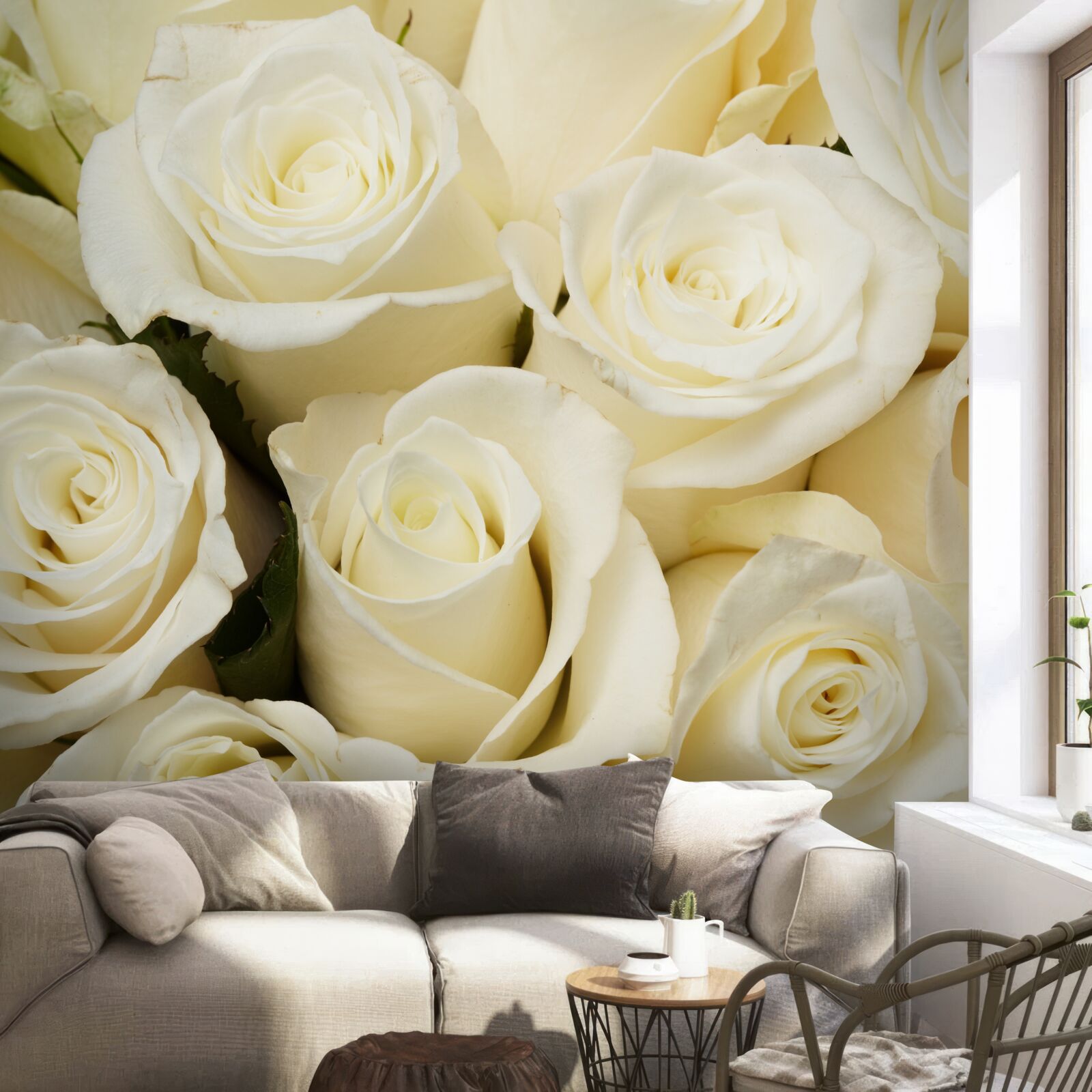 Papier peint boutons de roses blancs délicats et raffinés