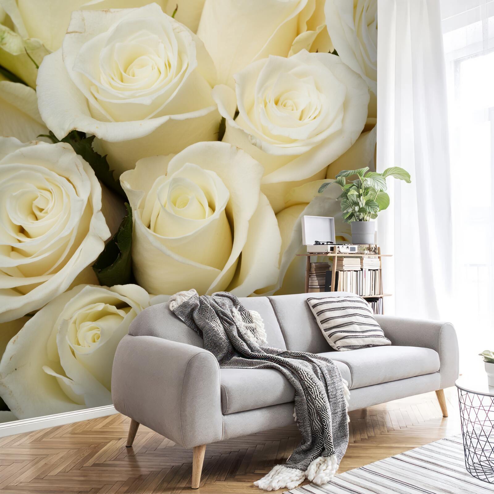 Papier peint boutons de roses blancs délicats et raffinés