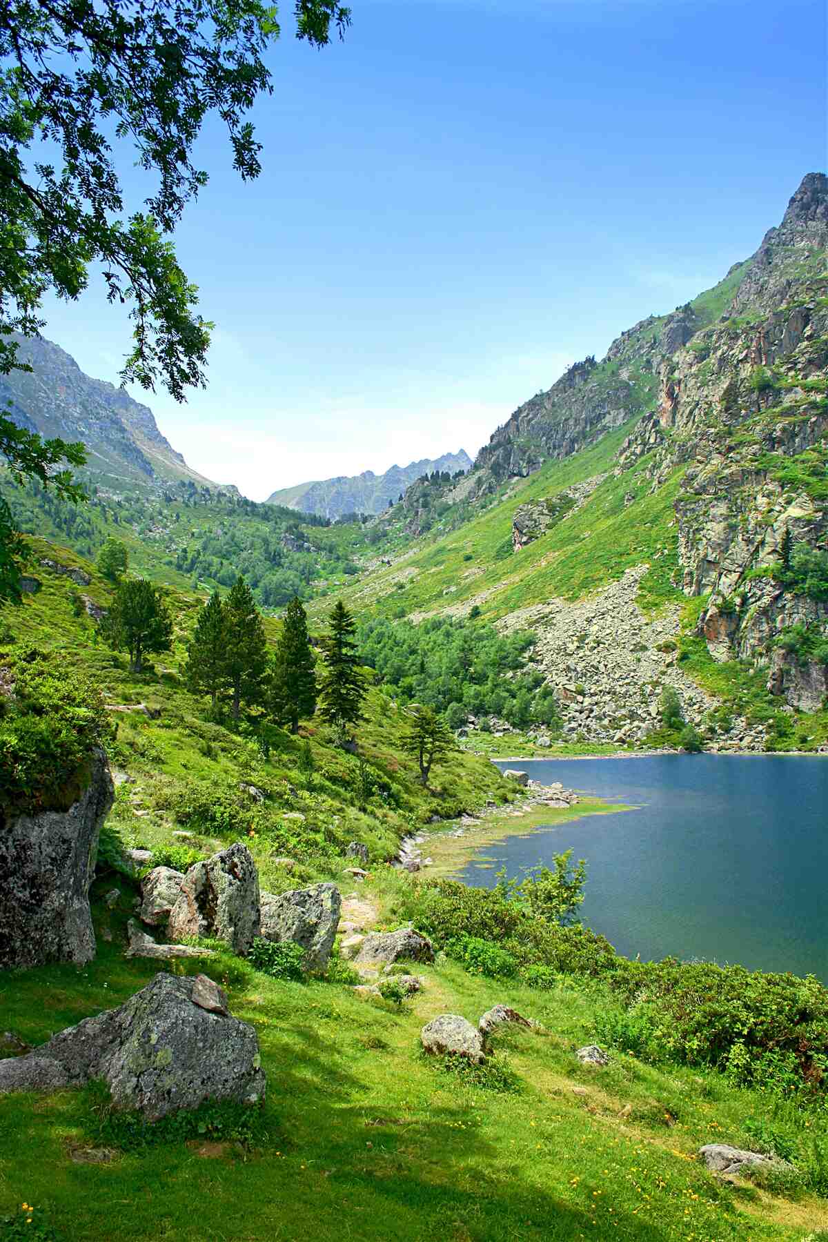 Papier peint un lac entouré de montagnes et de verdure