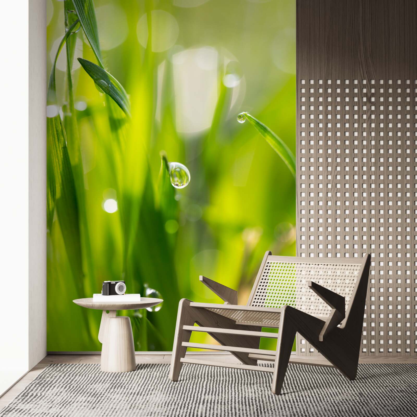 Papier peint la rosée du matin tombe sur l'herbe