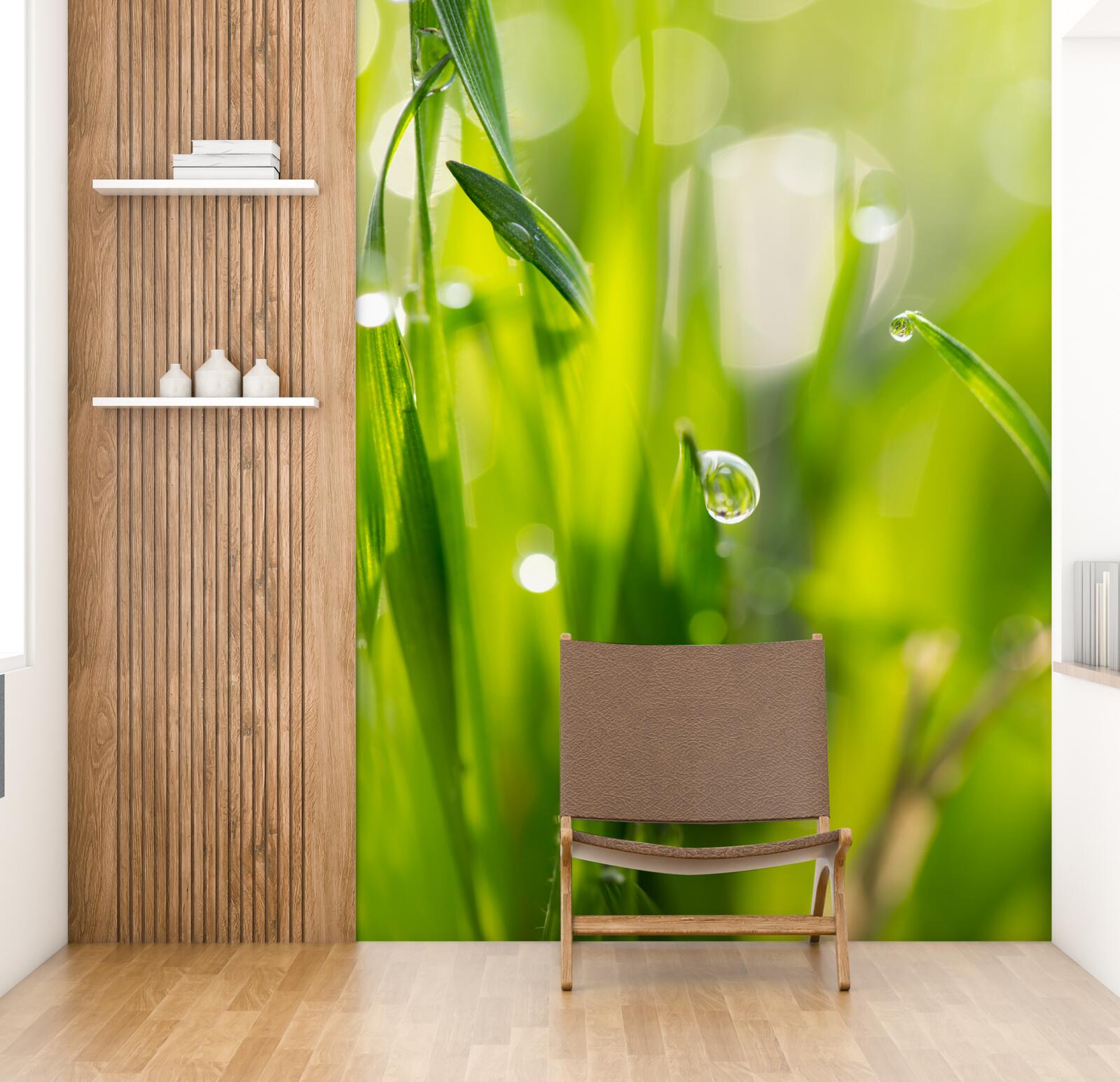 Papier peint la rosée du matin tombe sur l'herbe