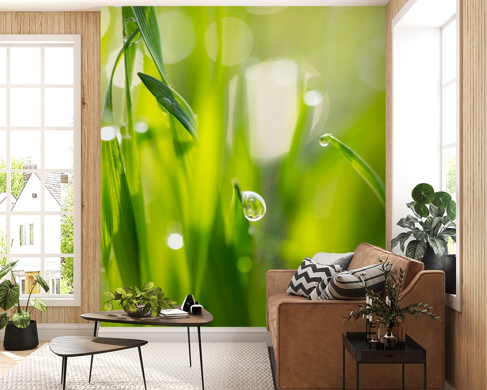 Papier peint la rosée du matin tombe sur l'herbe