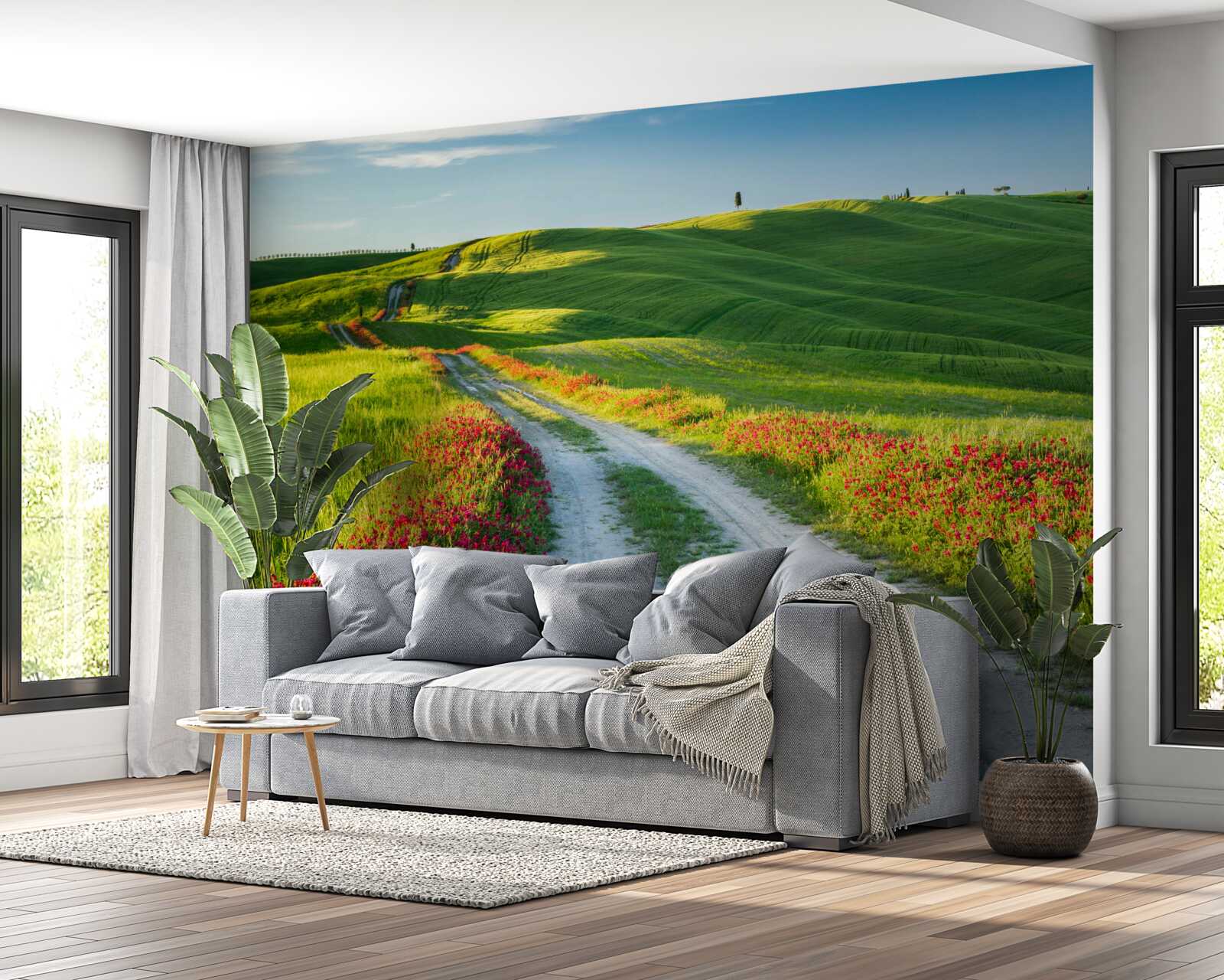 Papier peint route en montagne entourée de champs verdoyants