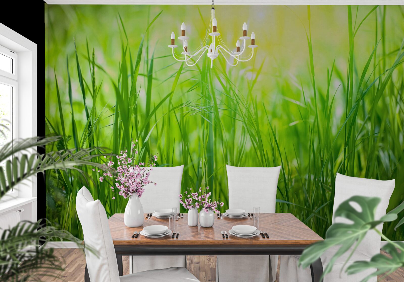 Papier peint la rosée du matin tombe dans la lumière du soleil