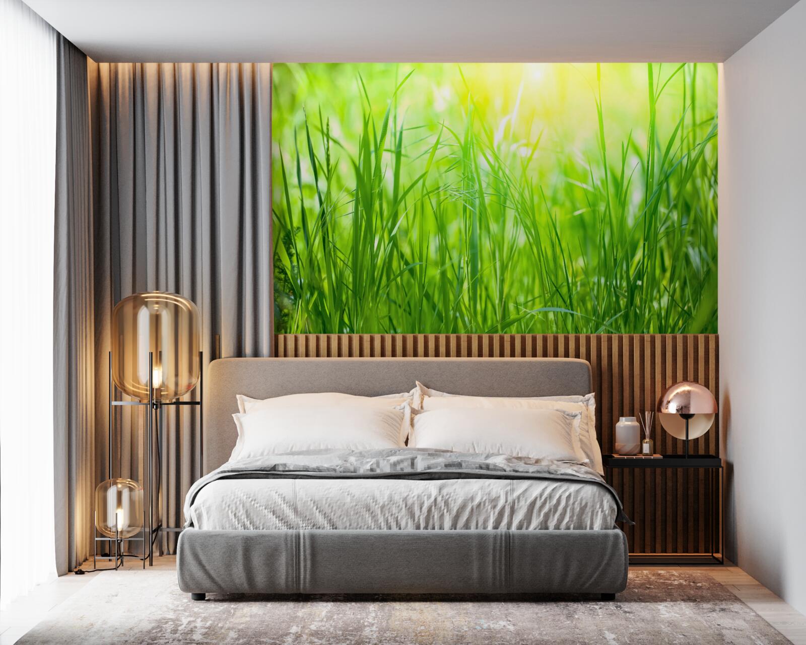 Papier peint la rosée du matin tombe dans la lumière du soleil