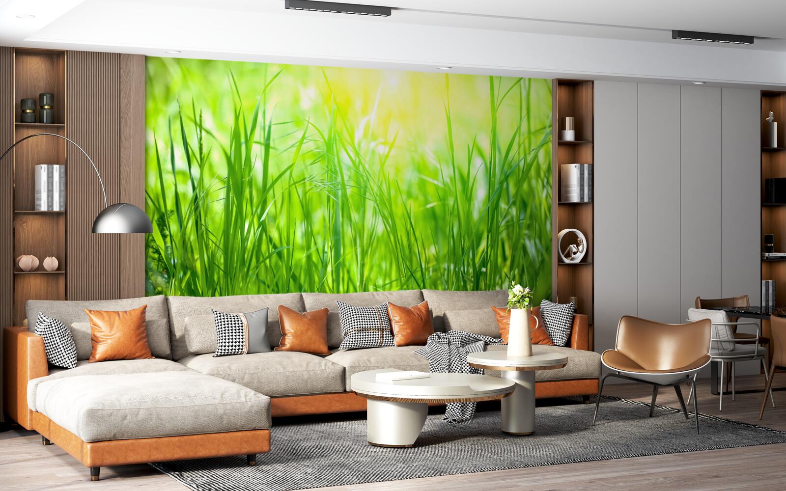 Papier peint la rosée du matin tombe dans la lumière du soleil