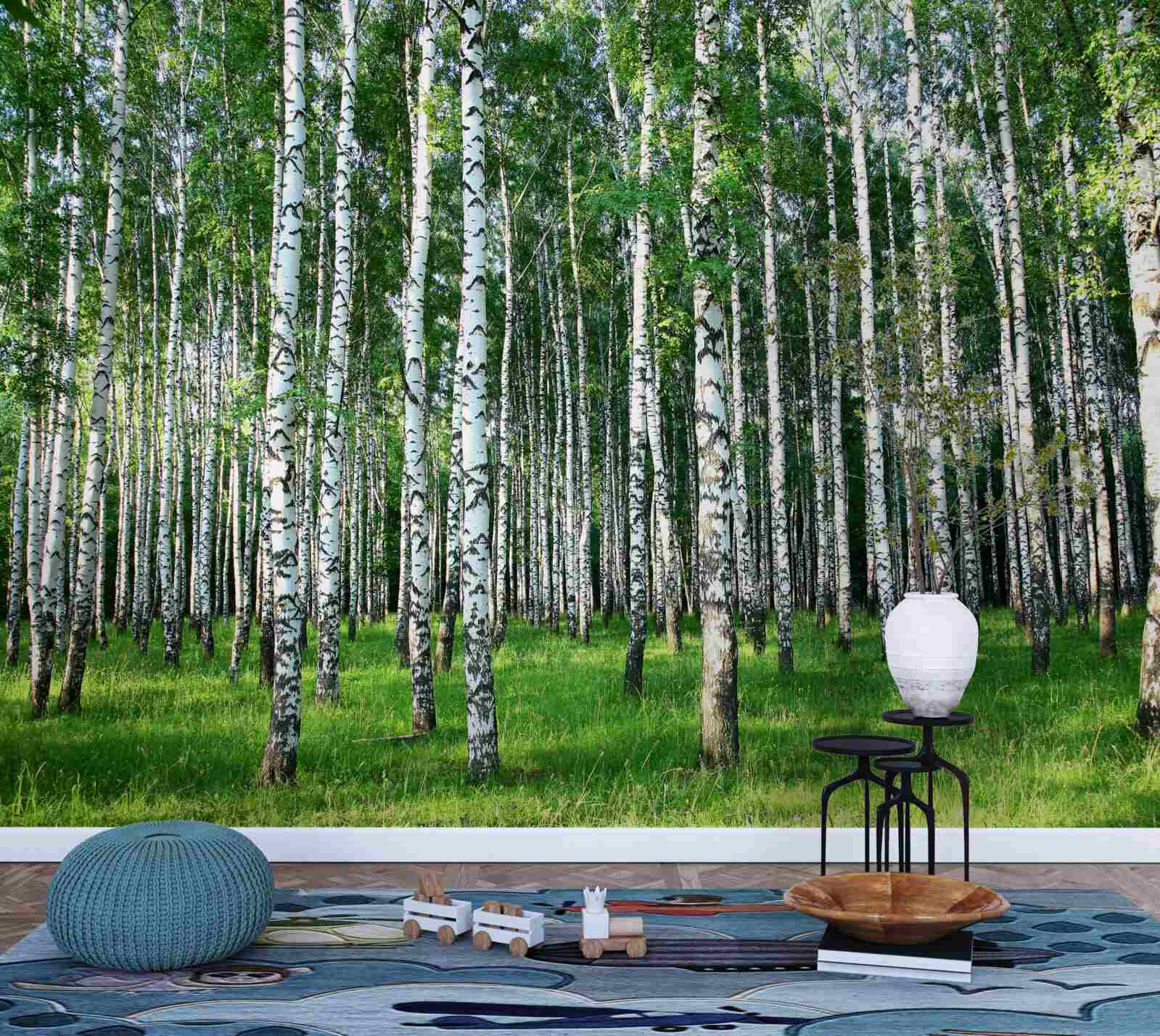 Papier peint les bouleaux élancés en décoration d'été