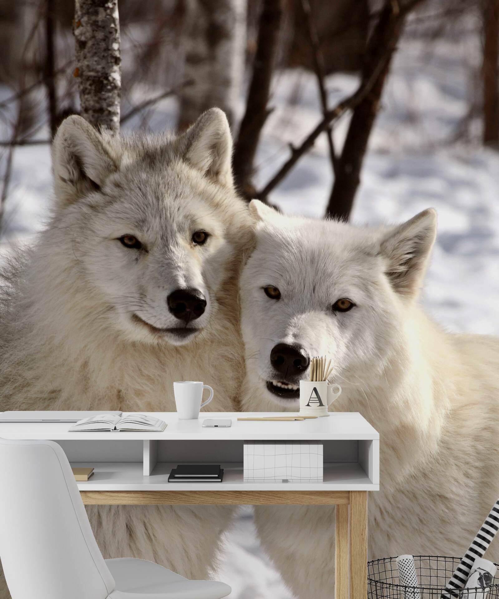 Papier peint une meute de loups blancs dans une forêt enneigée