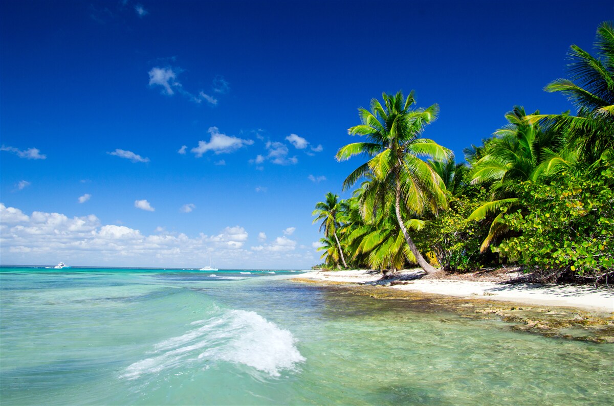Papier peint vagues sur une côte tropicale