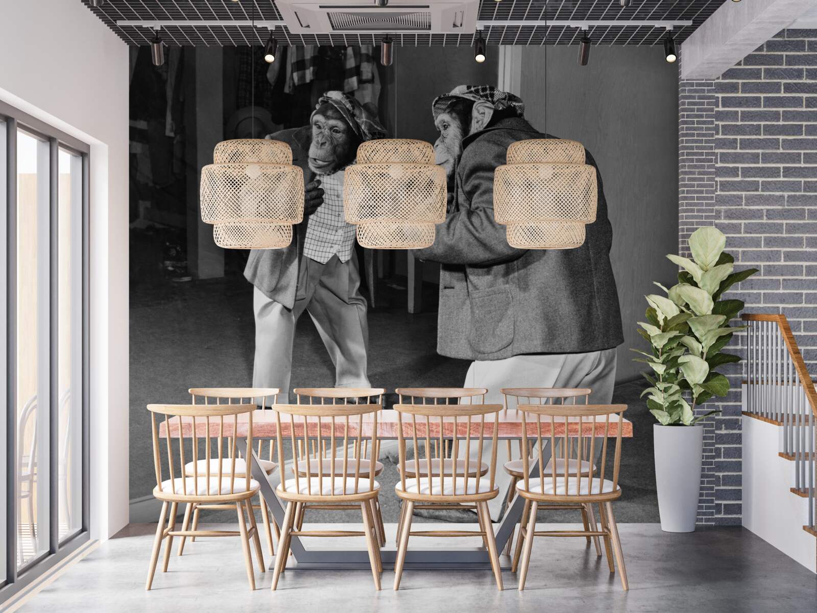 Papier peint singe habillé se regardant dans le miroir