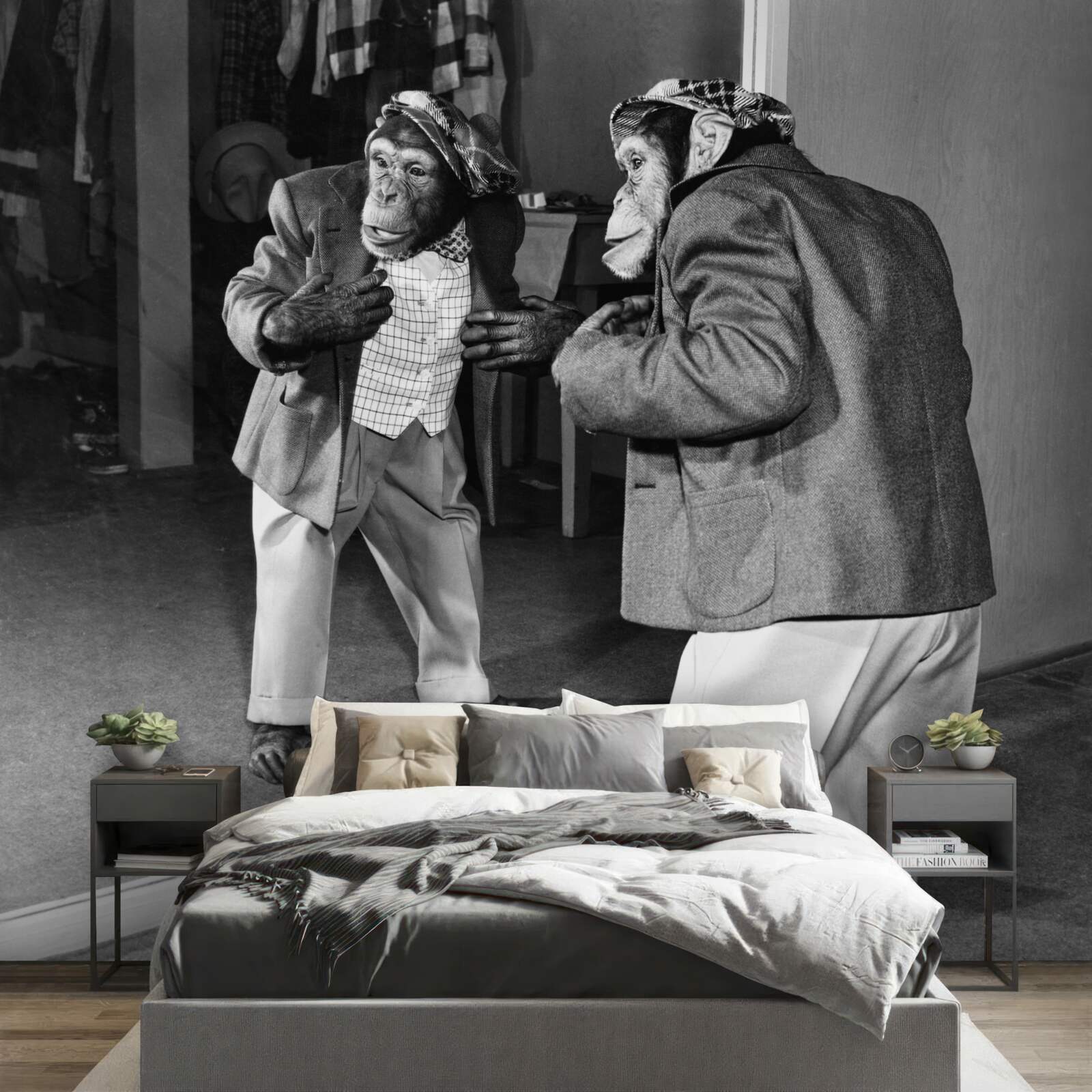 Papier peint singe habillé se regardant dans le miroir