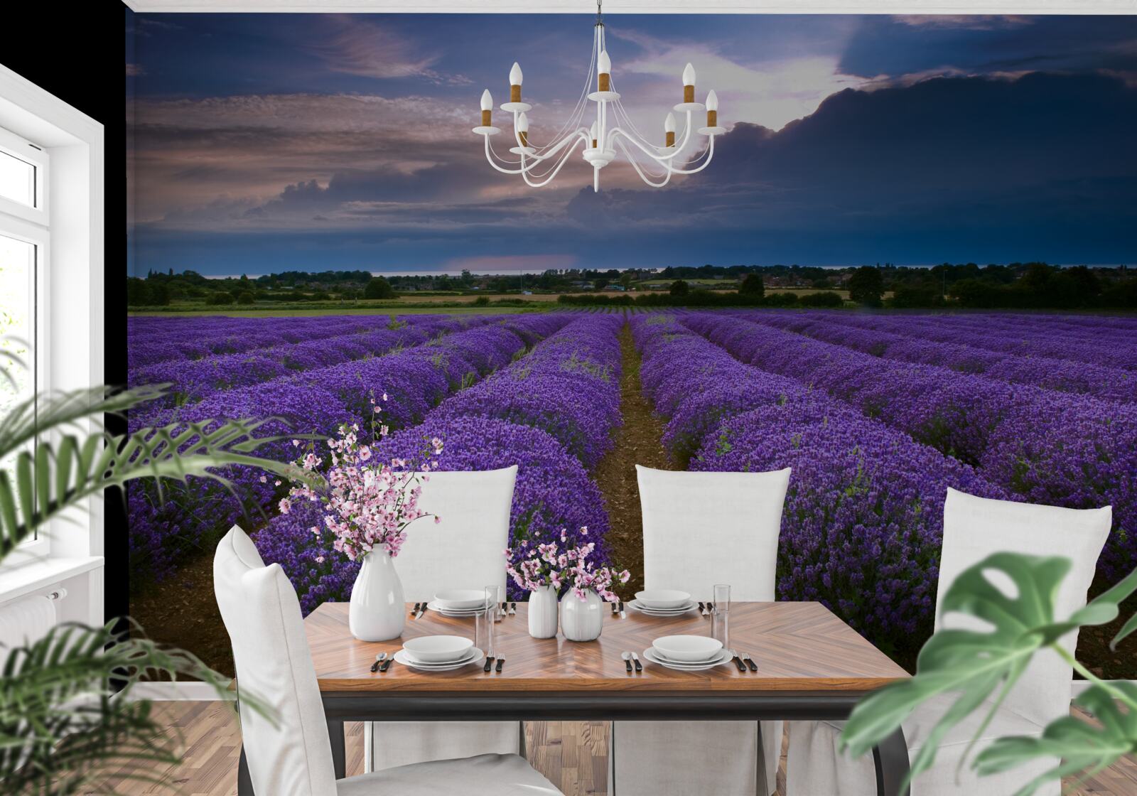 Papier peint des buissons de lavande odorante poussent dans les champs