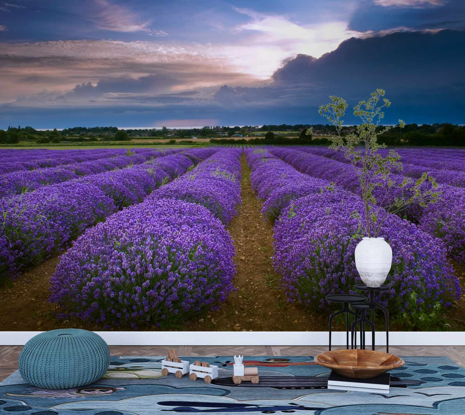 Papier peint des buissons de lavande odorante poussent dans les champs