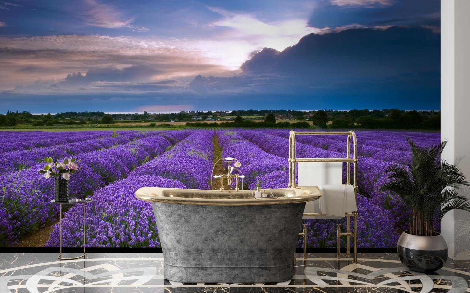 Papier peint des buissons de lavande odorante poussent dans les champs