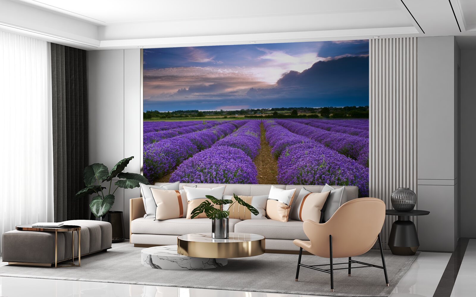 Papier peint des buissons de lavande odorante poussent dans les champs