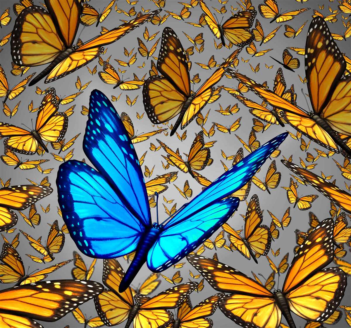 Papier peint le papillon bleu se distingue nettement des jaunes