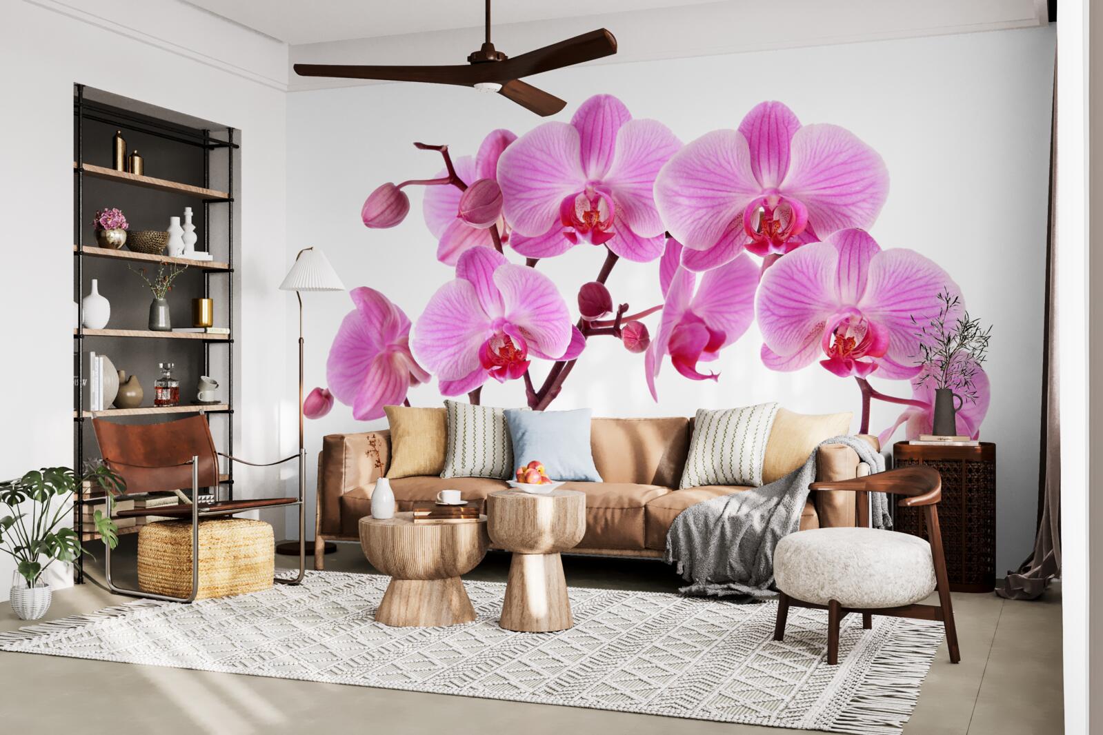 Papier peint lys rose sur une branche sur fond blanc