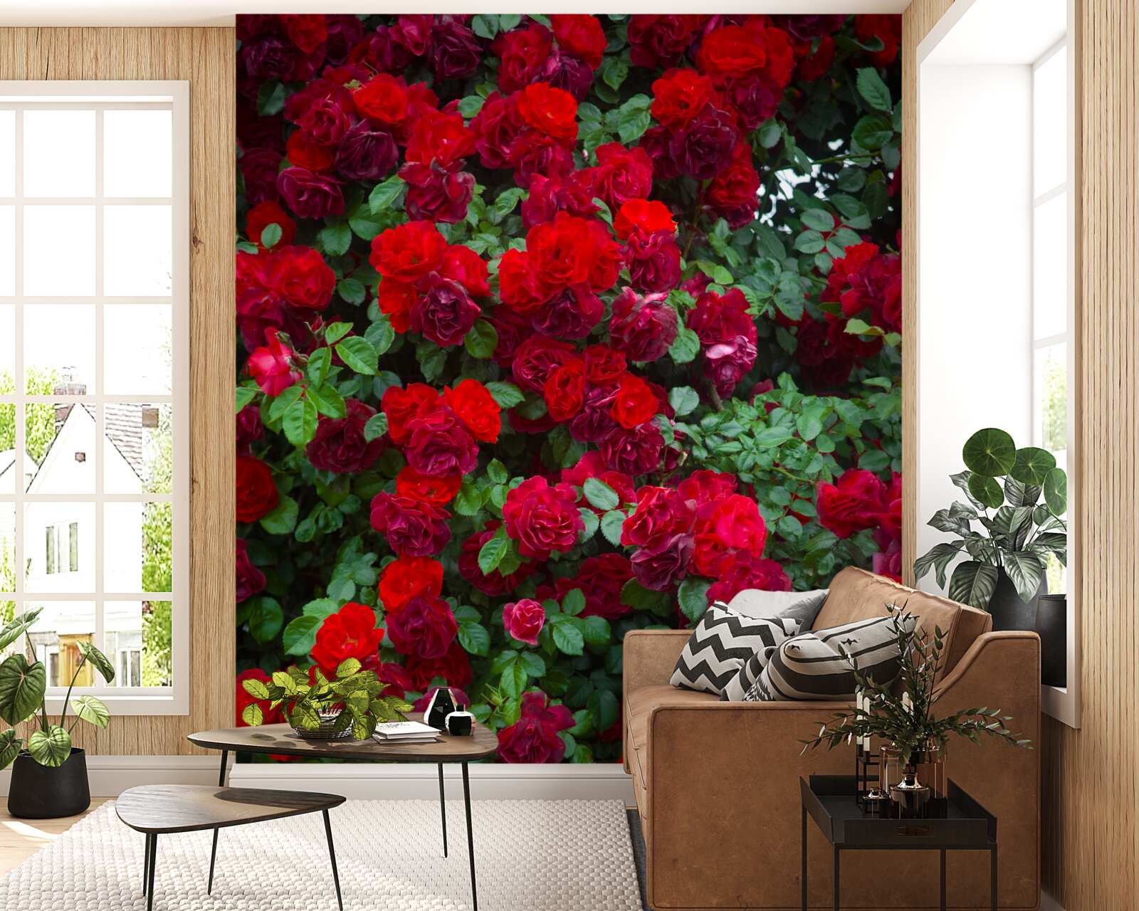 Papier peint rosier écarlate