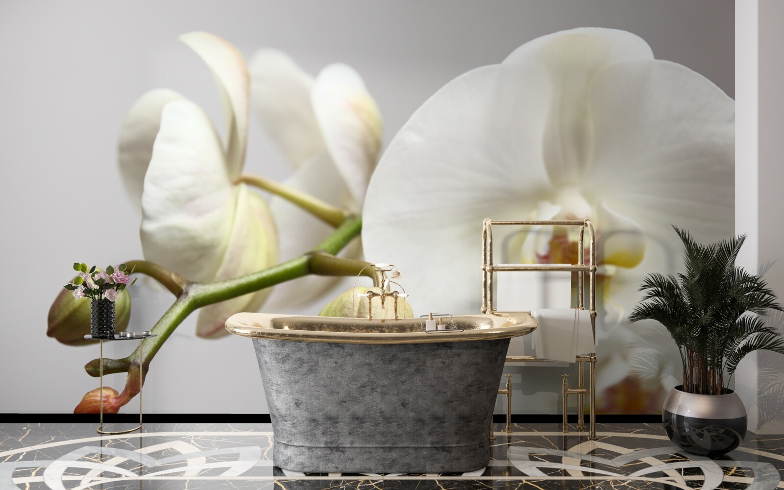 Papier peint branche d'orchidée blanche avec fleurs épanouies et bourgeons non développés