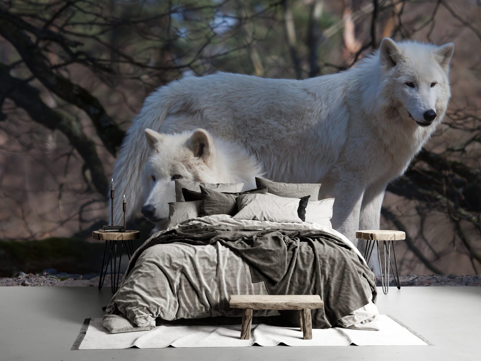 Papier peint les loups deviennent blancs dans une forêt couverte de feuilles mortes