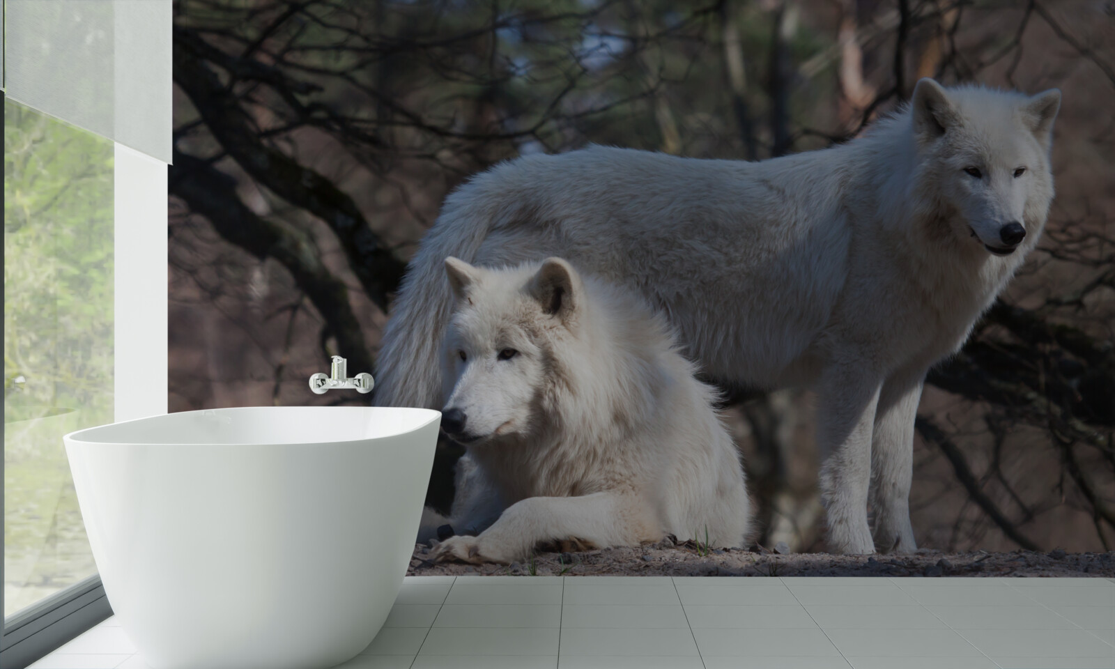 Papier peint les loups deviennent blancs dans une forêt couverte de feuilles mortes