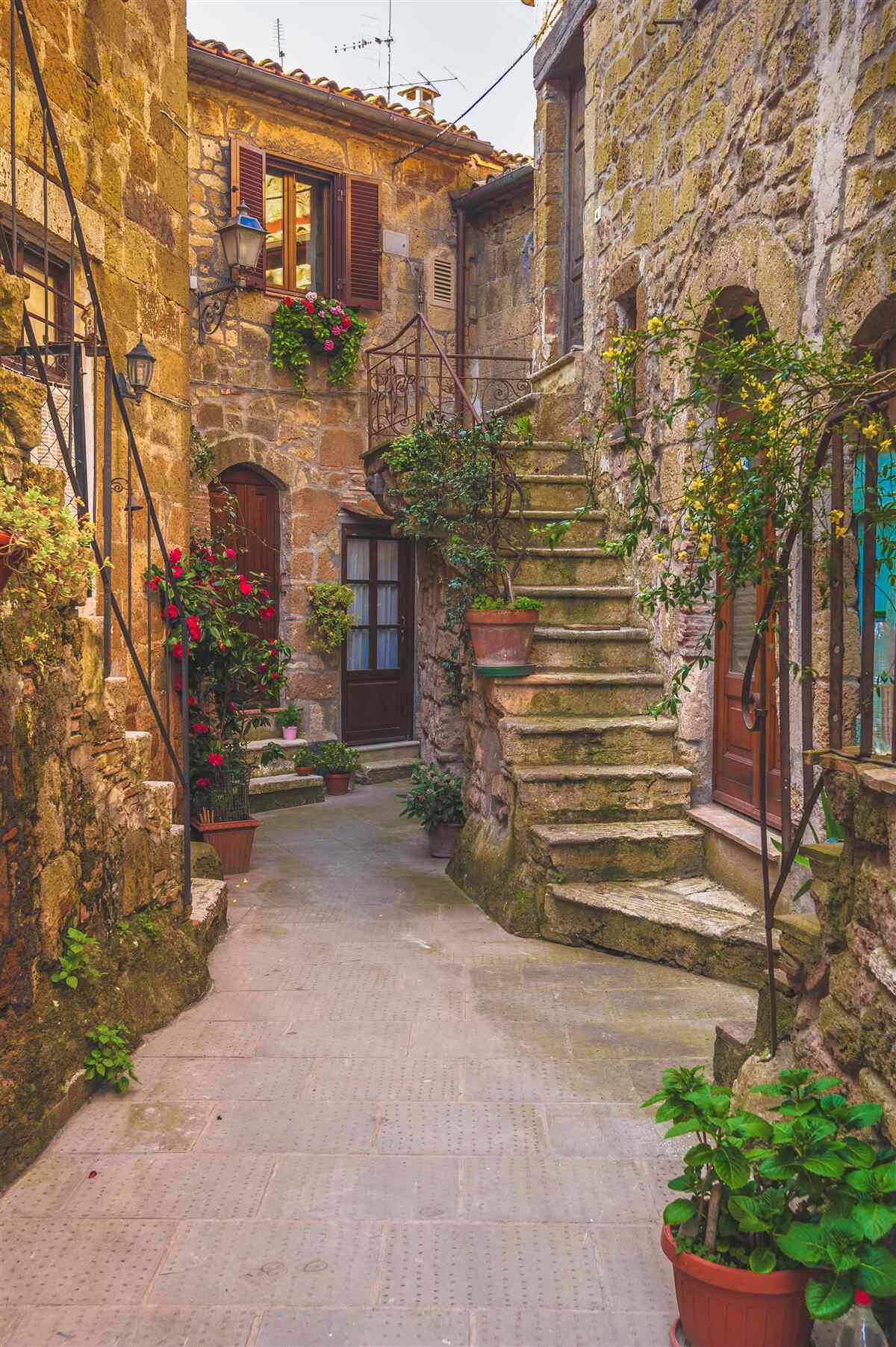 Papier peint escalier fleuri dans la vieille cour