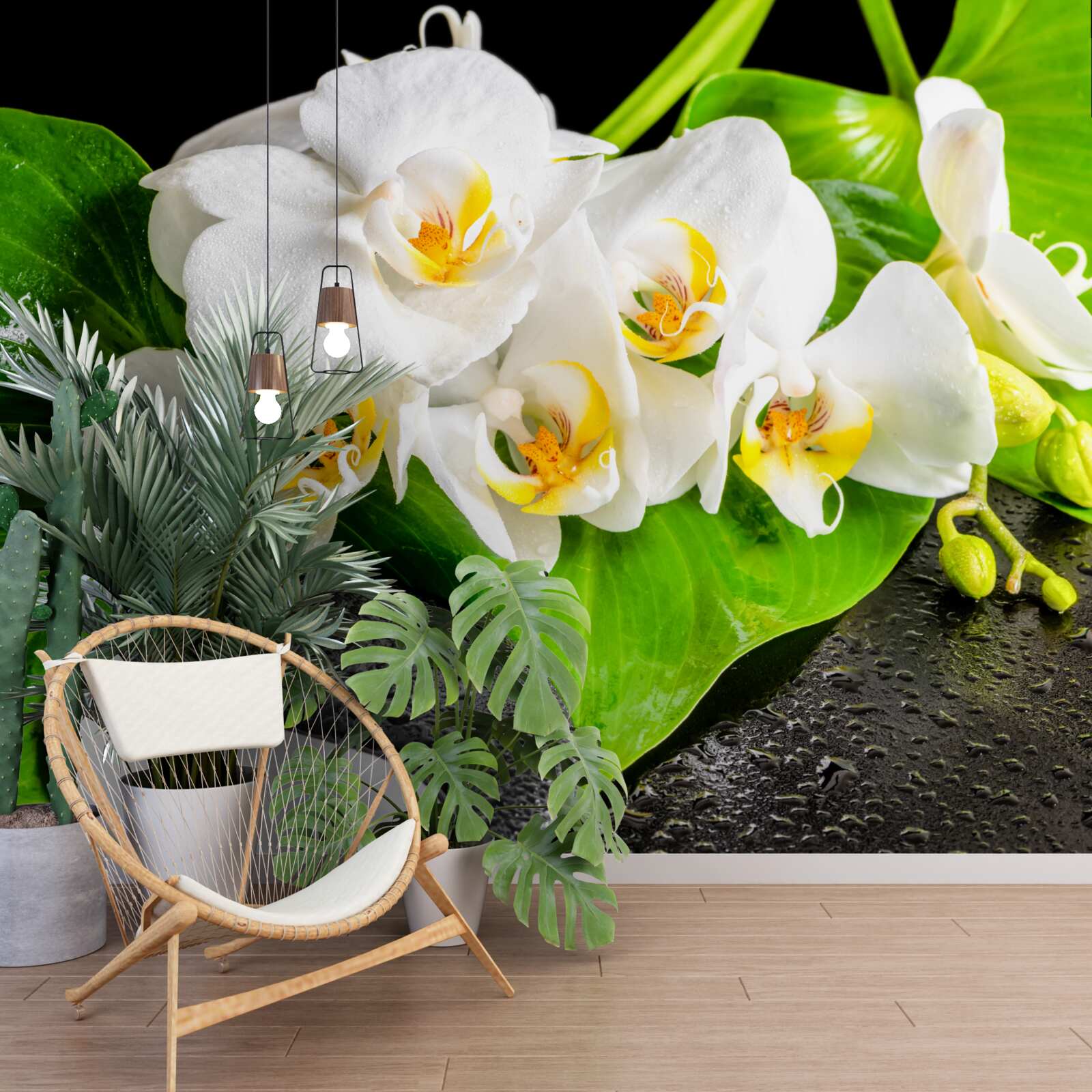 Papier peint lotus blanc sur un rocher sombre